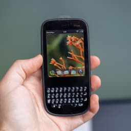 Image of: Palm Pixi Plus