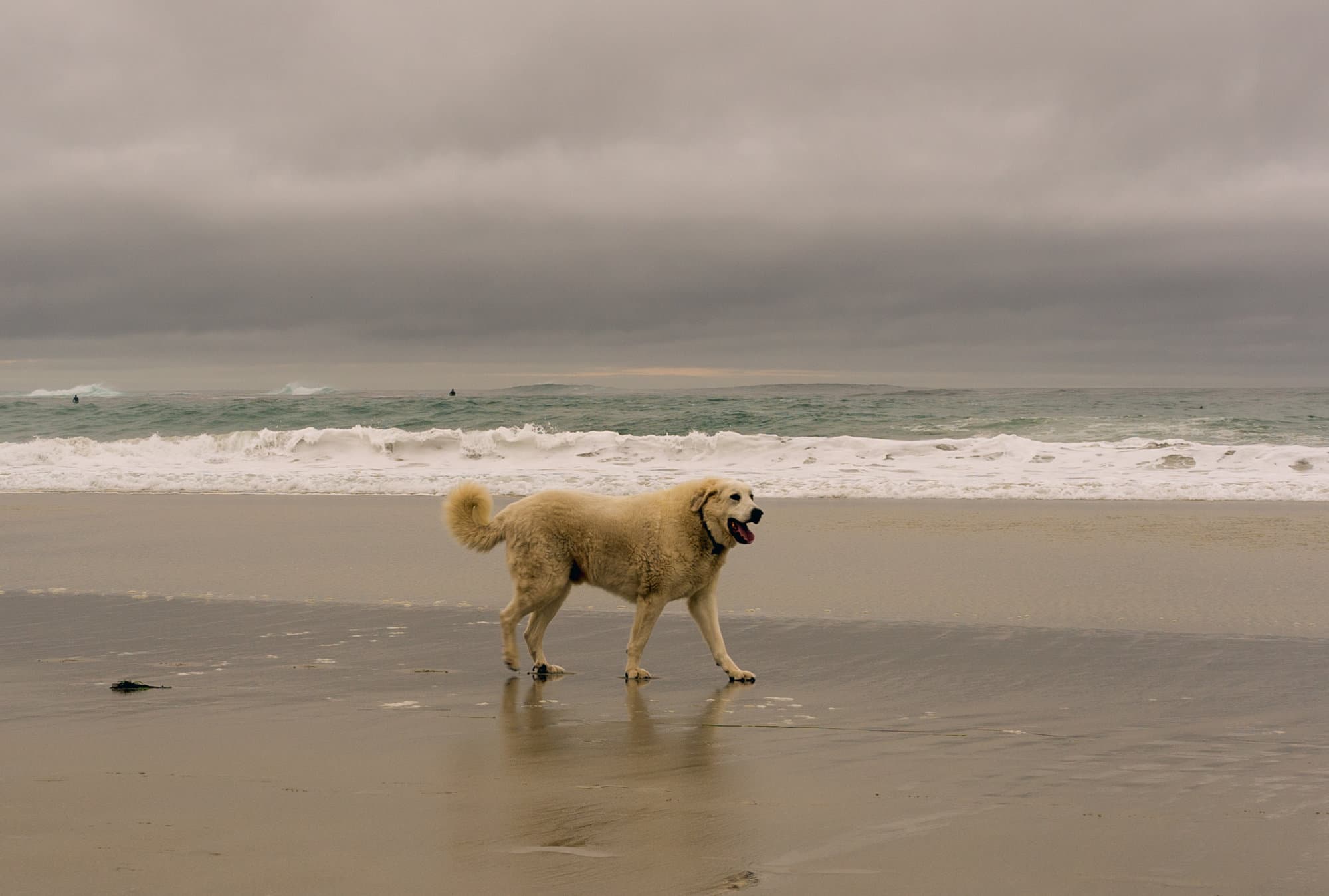 Carmel & Monterey photo DSC08031
