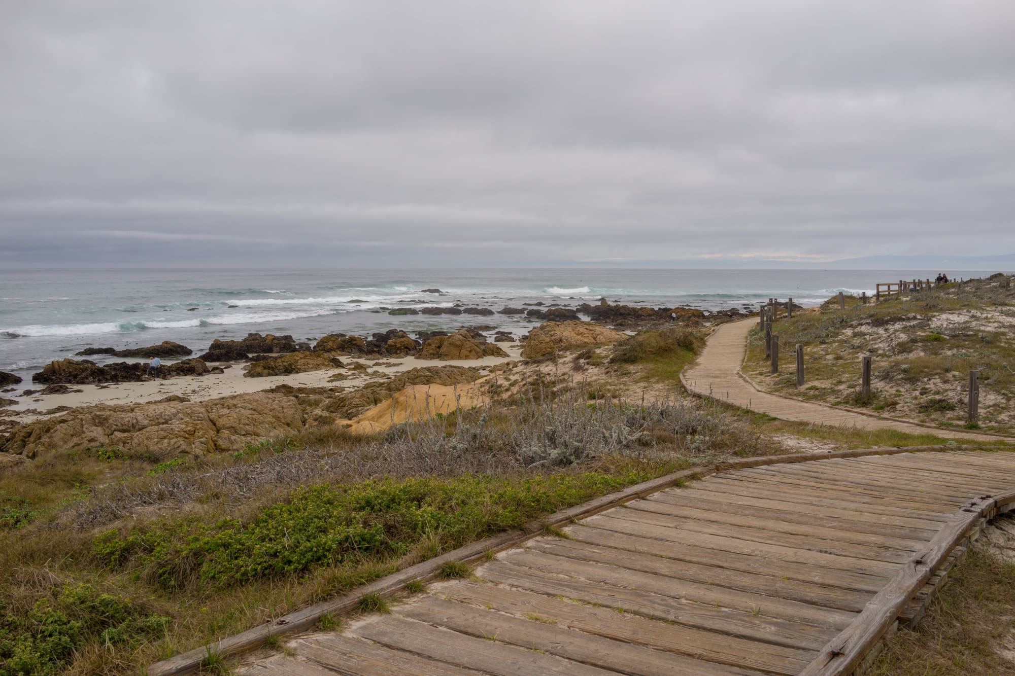 Carmel & Monterey photo DSC08142