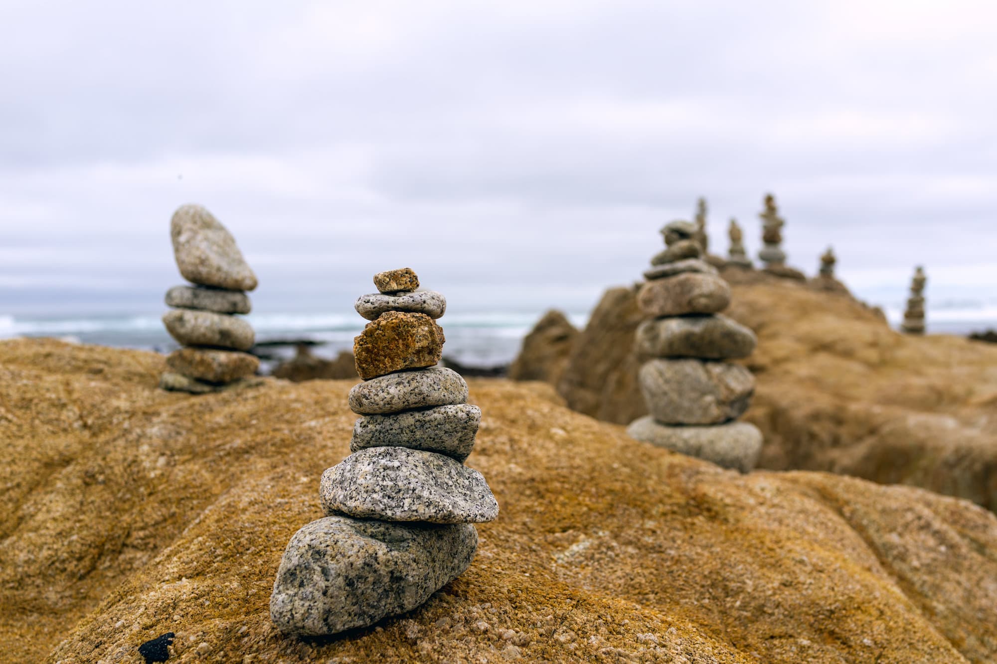 Carmel & Monterey photo DSC08149