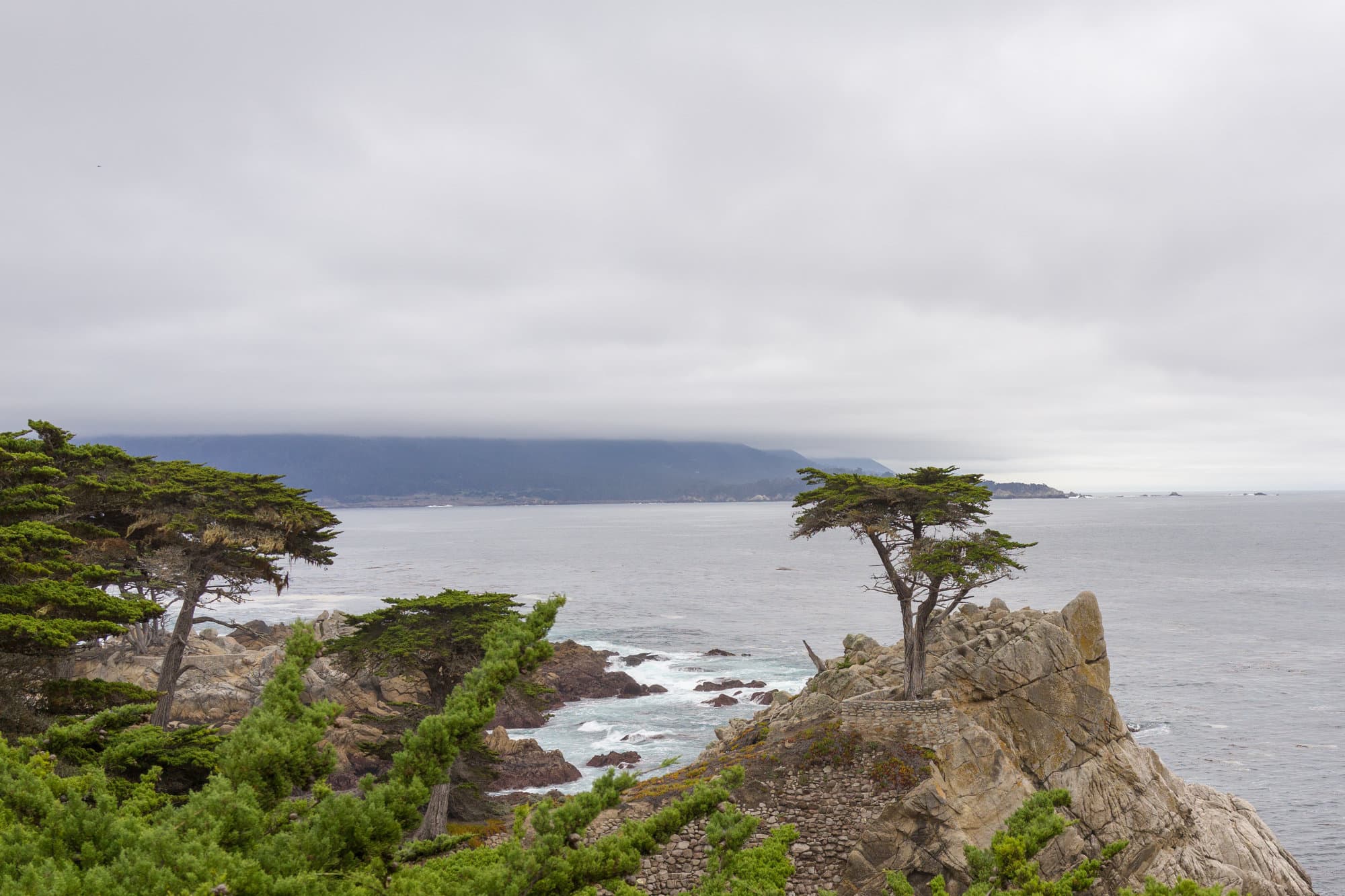 Carmel & Monterey photo DSC08204
