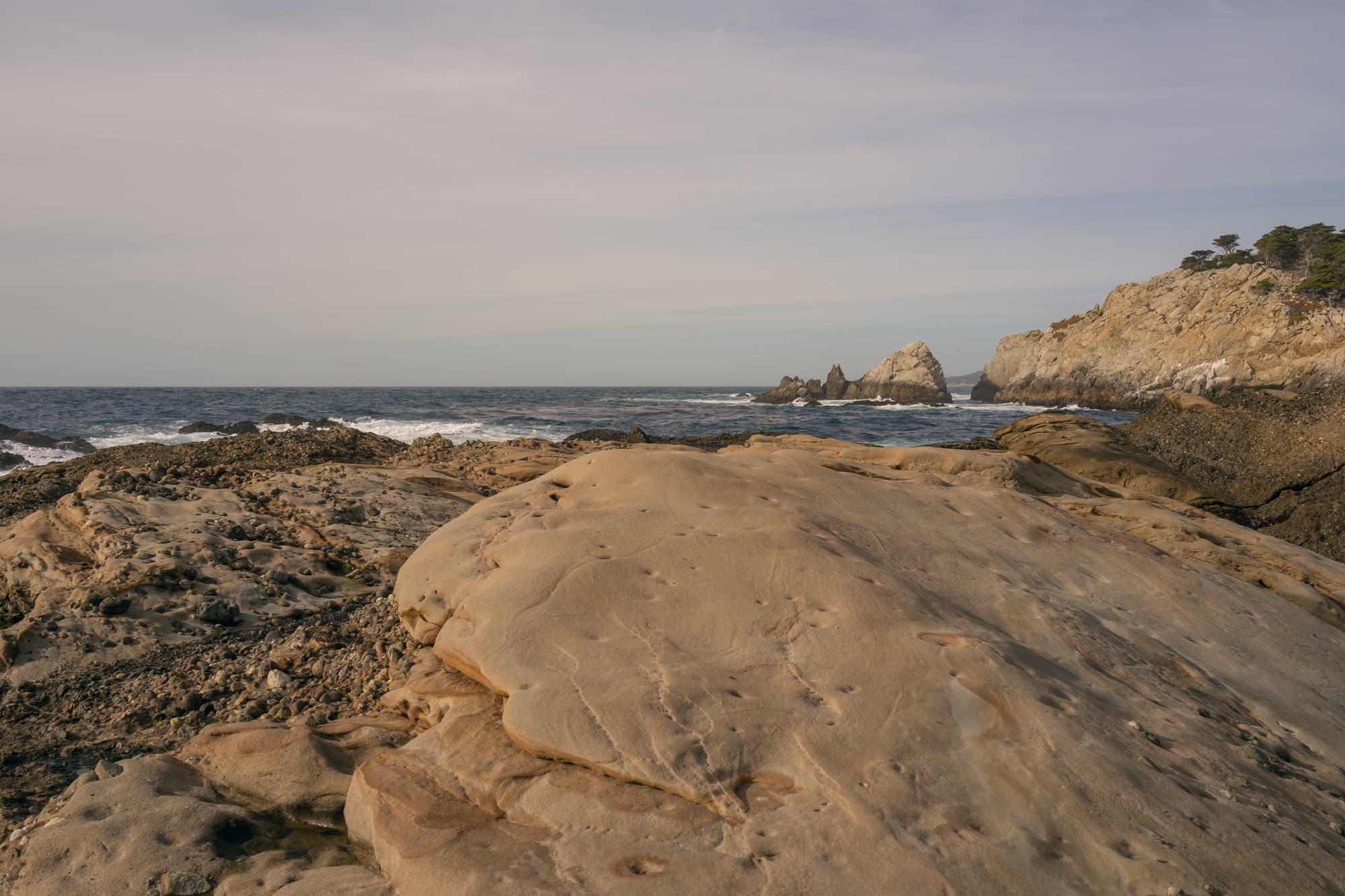 Carmel & Monterey photo DSC08346