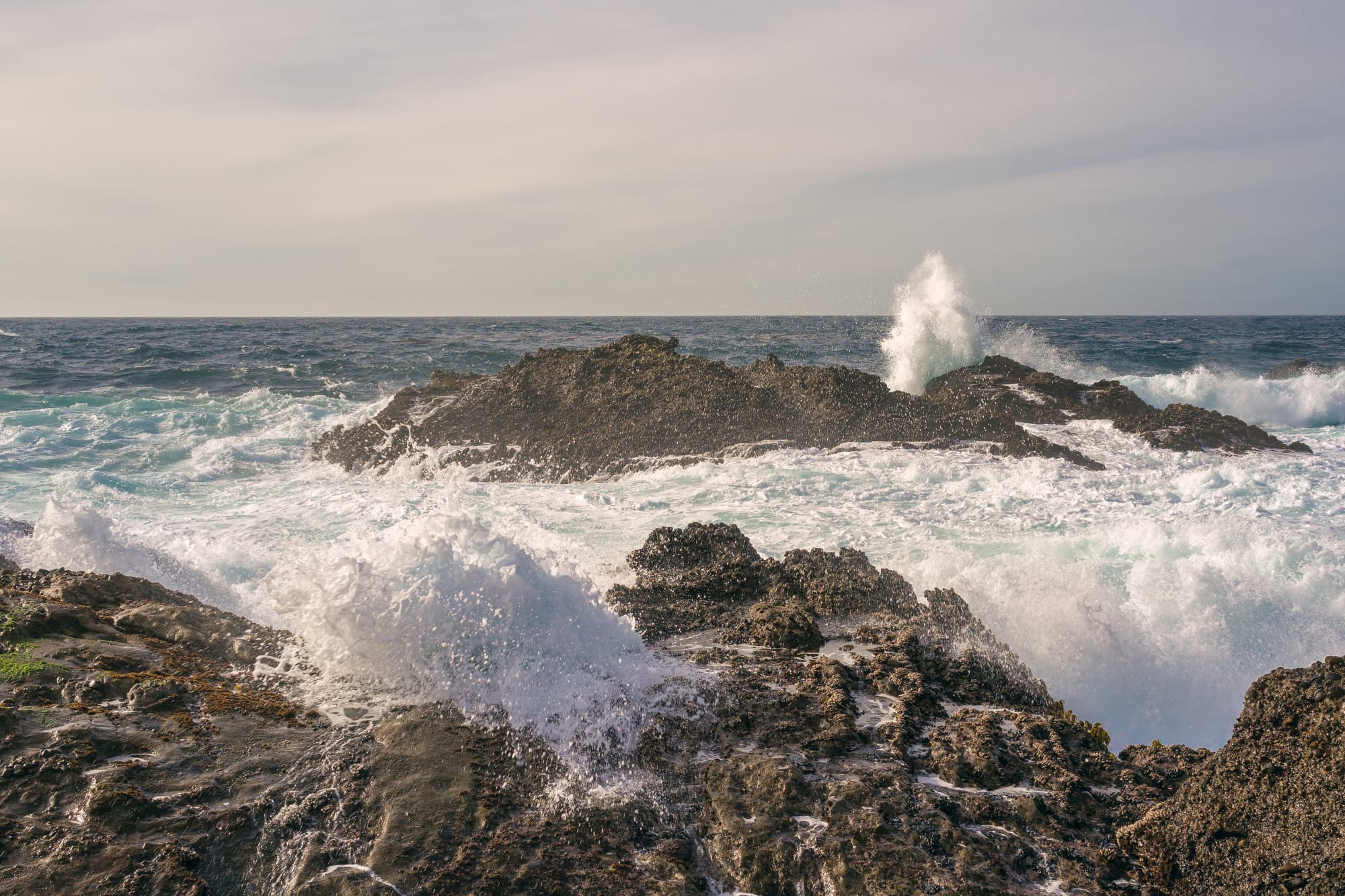 Carmel & Monterey photo DSC08373