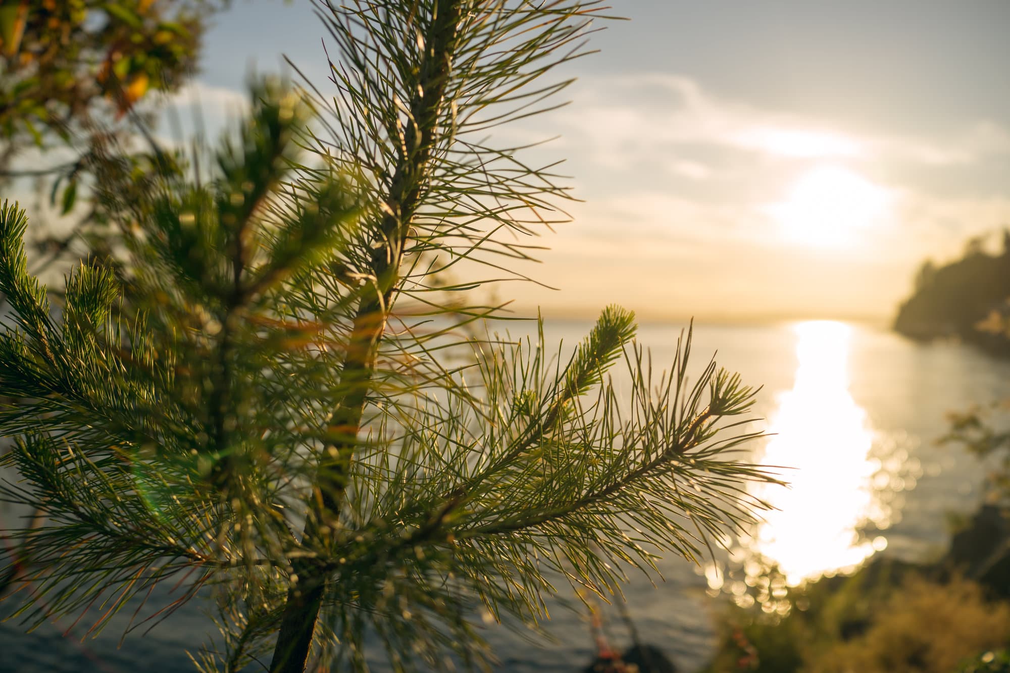 Seattle photo DSC00940