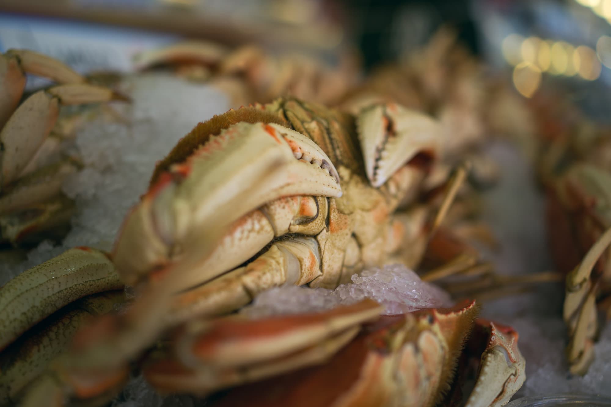 Seattle photo DSC01063