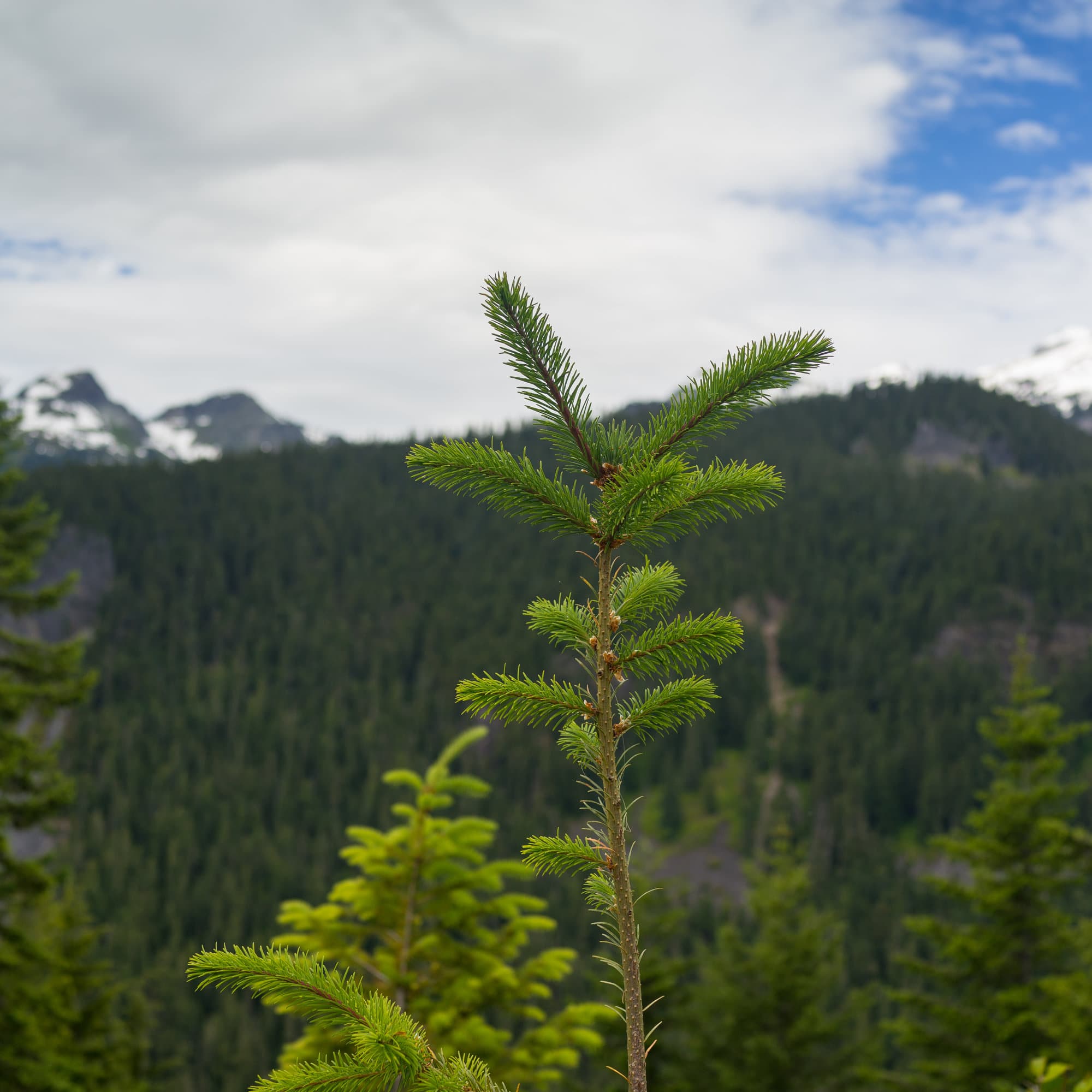 Seattle photo DSC01702