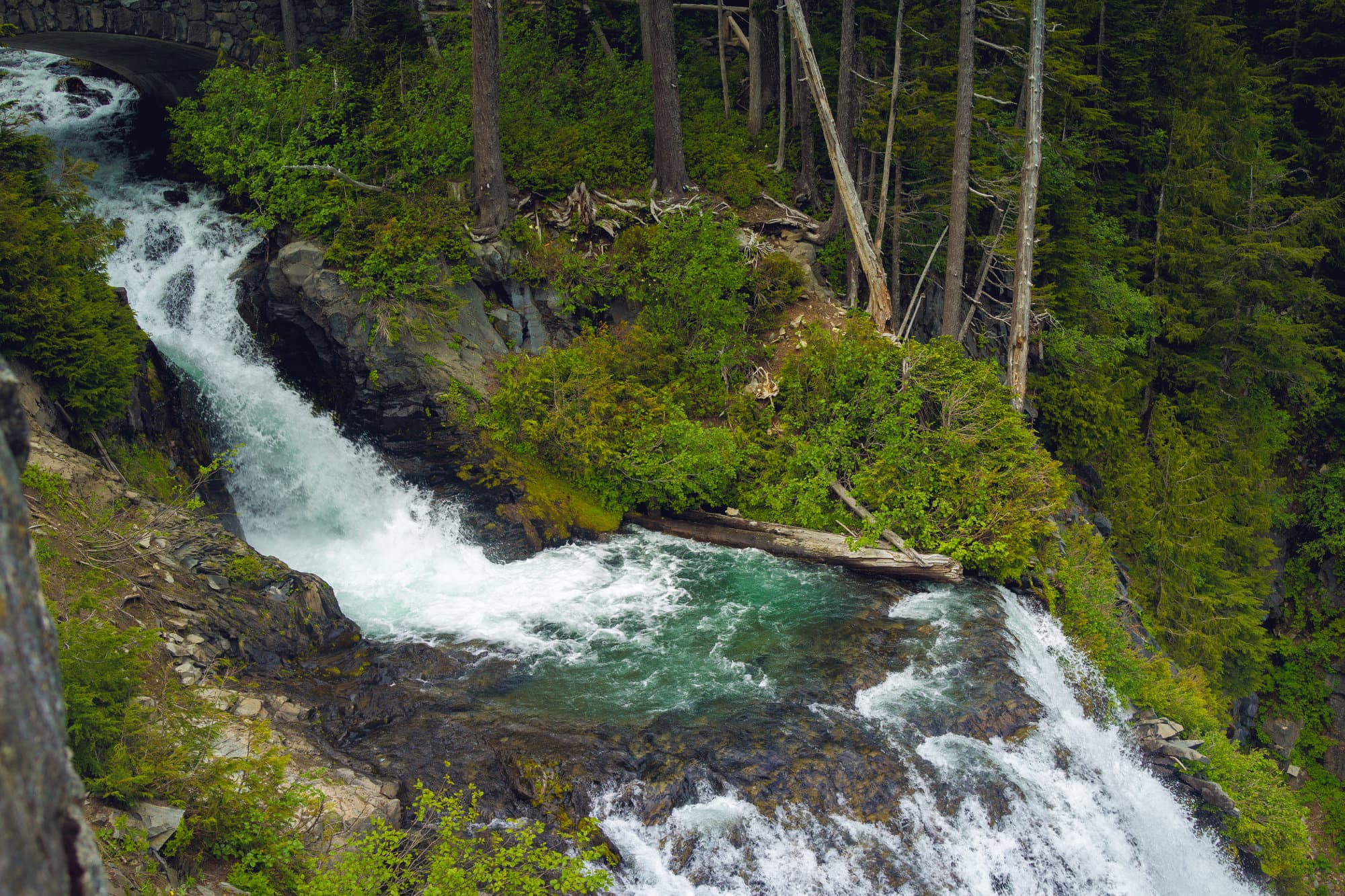 Seattle photo DSC01712