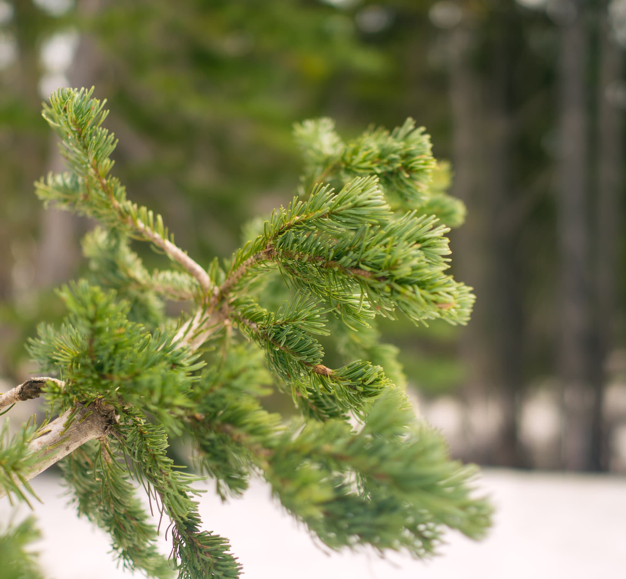 Seattle photo DSC01792