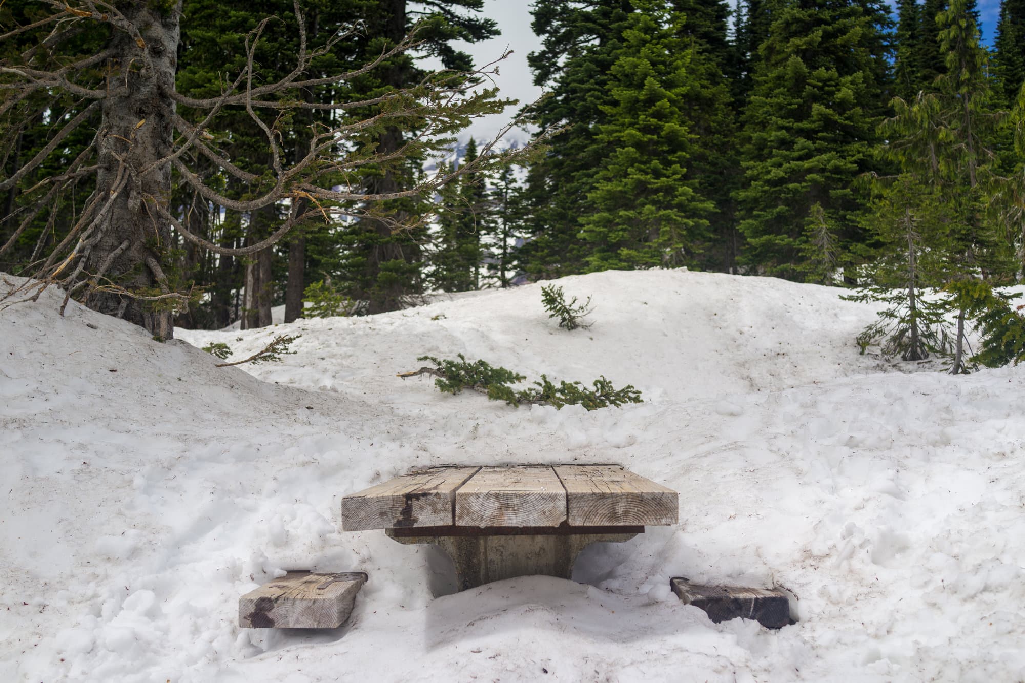 Seattle photo DSC01805