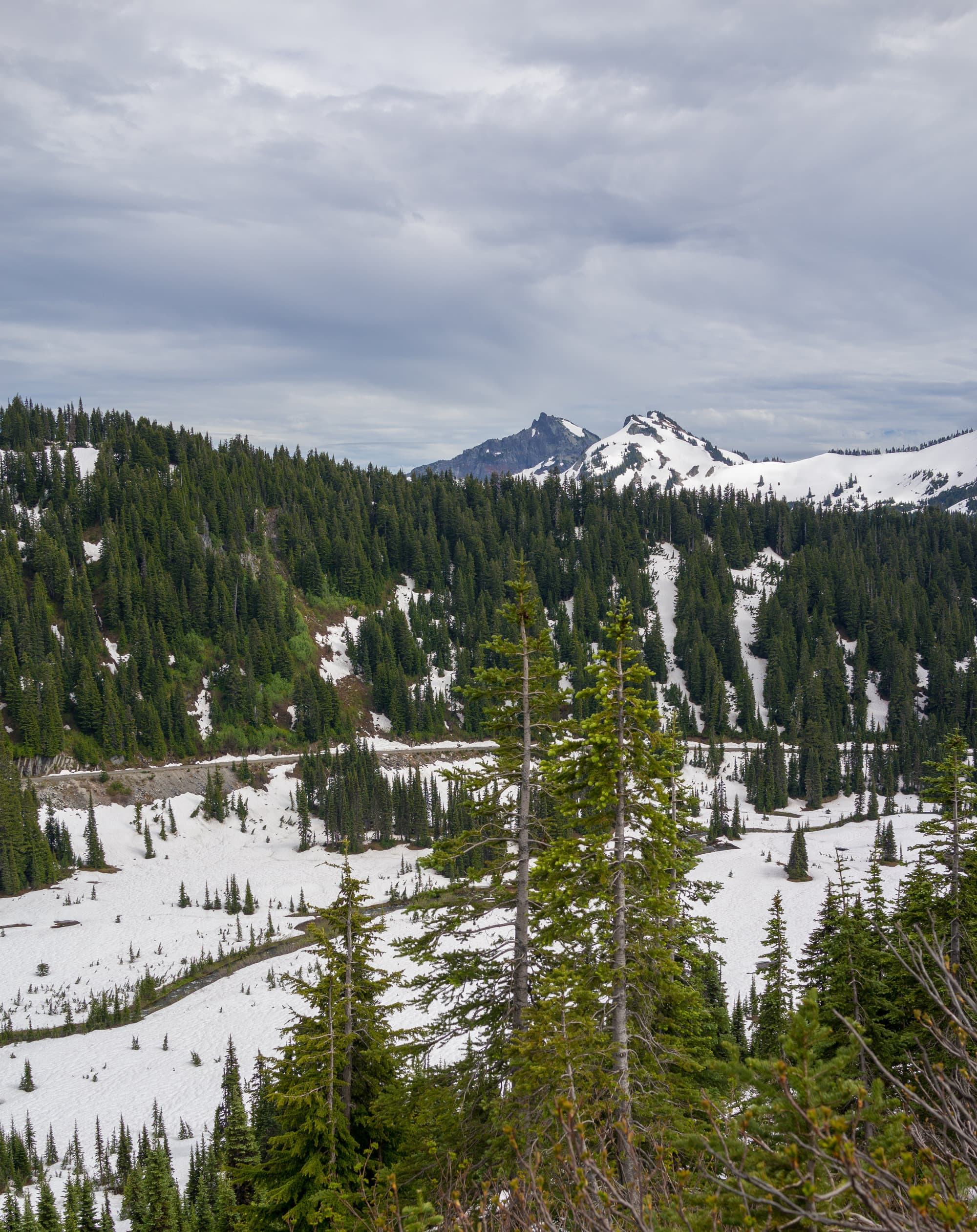 Seattle photo DSC01843