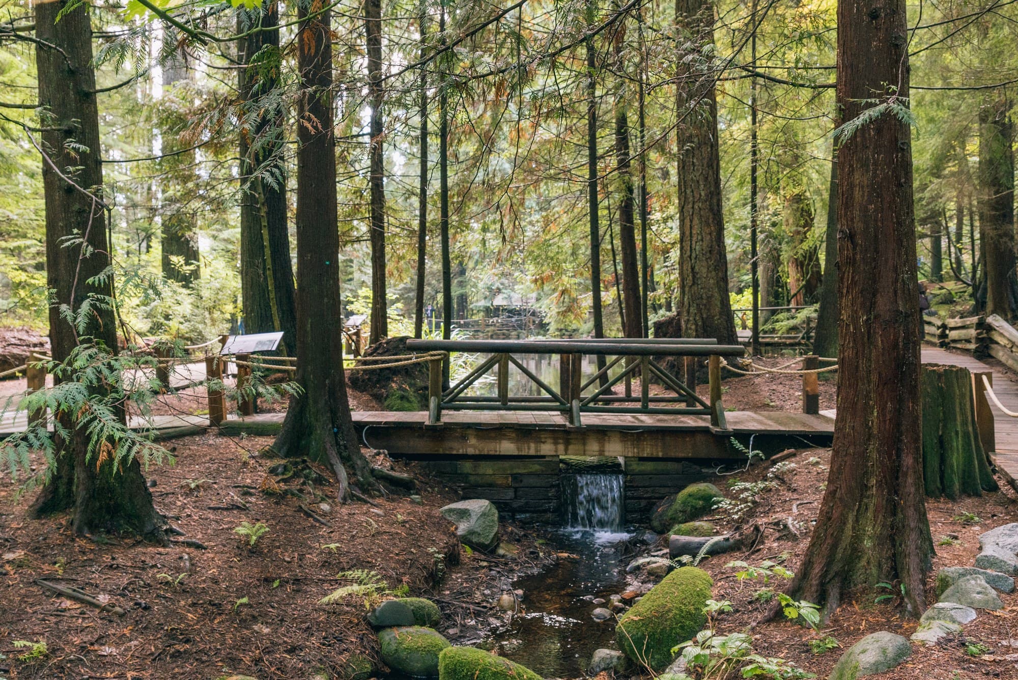 Vancouver photo DSC07534