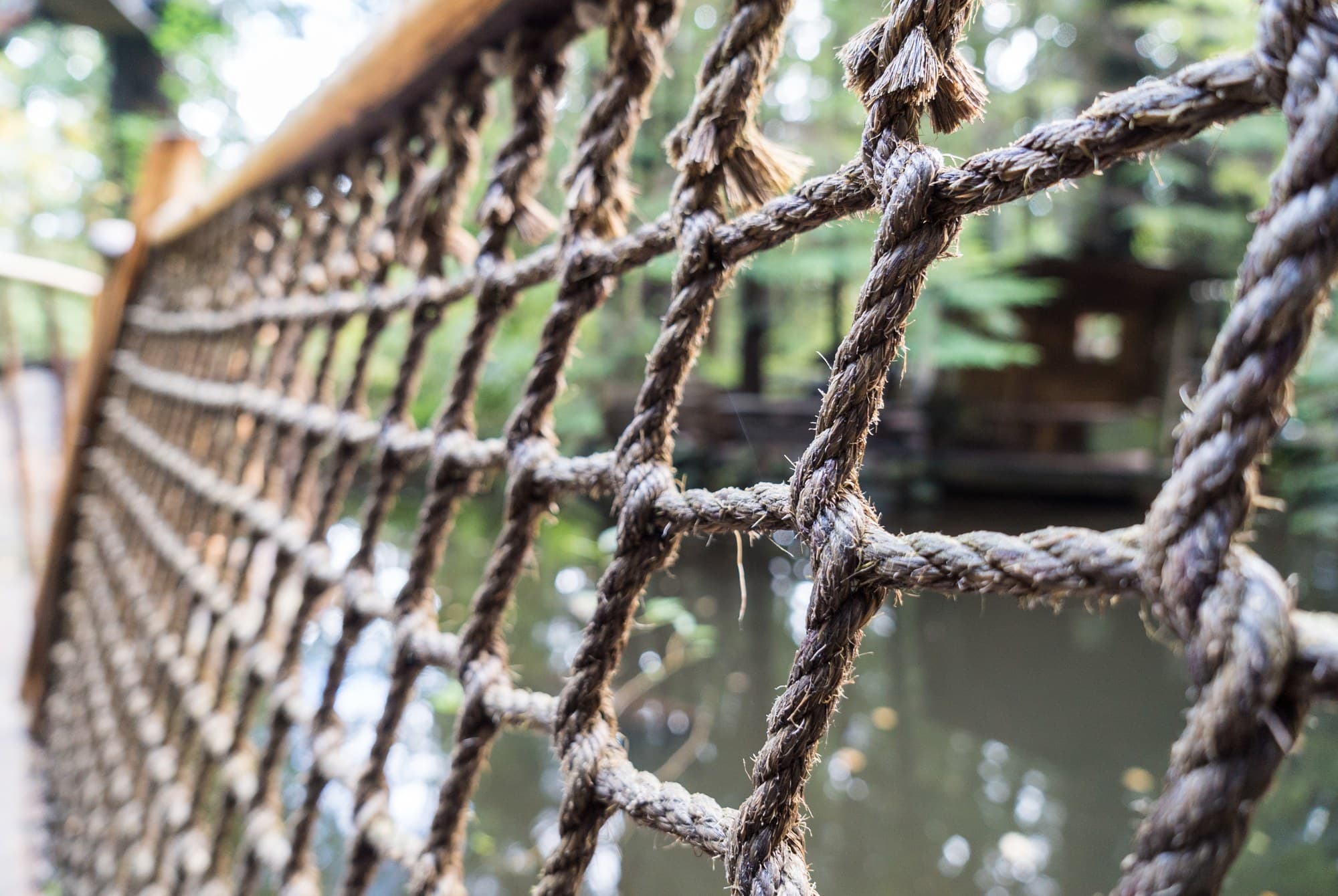 Vancouver photo DSC07541