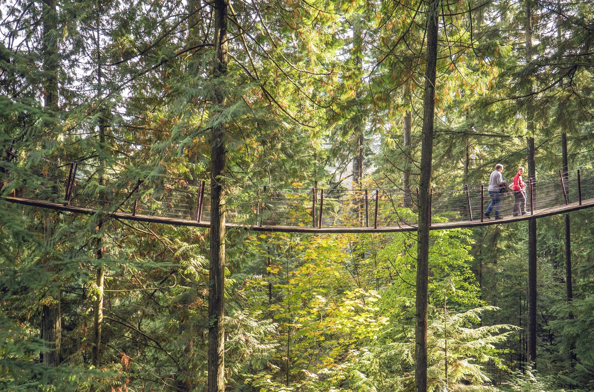 Vancouver photo DSC07550