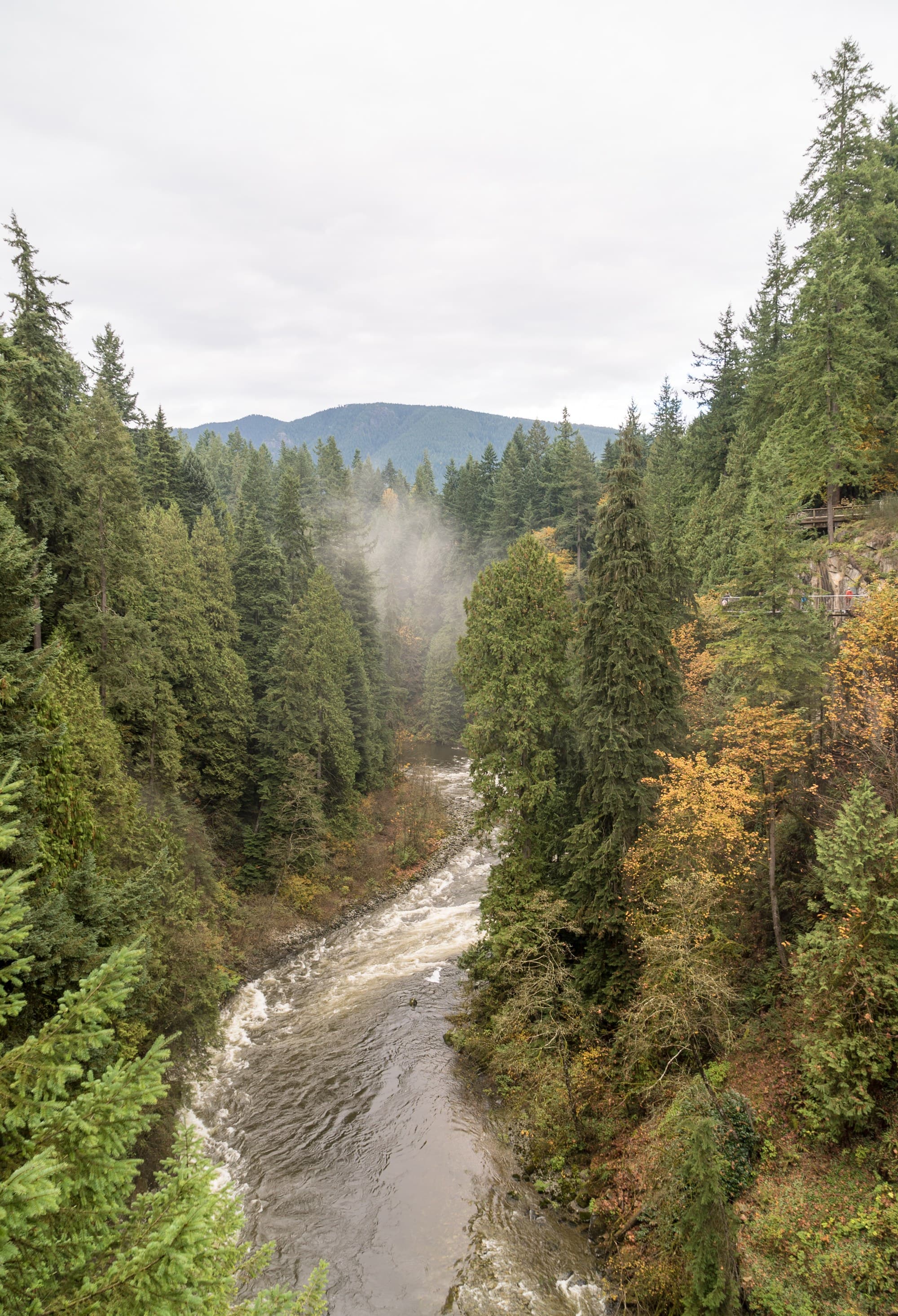 Vancouver photo DSC07639