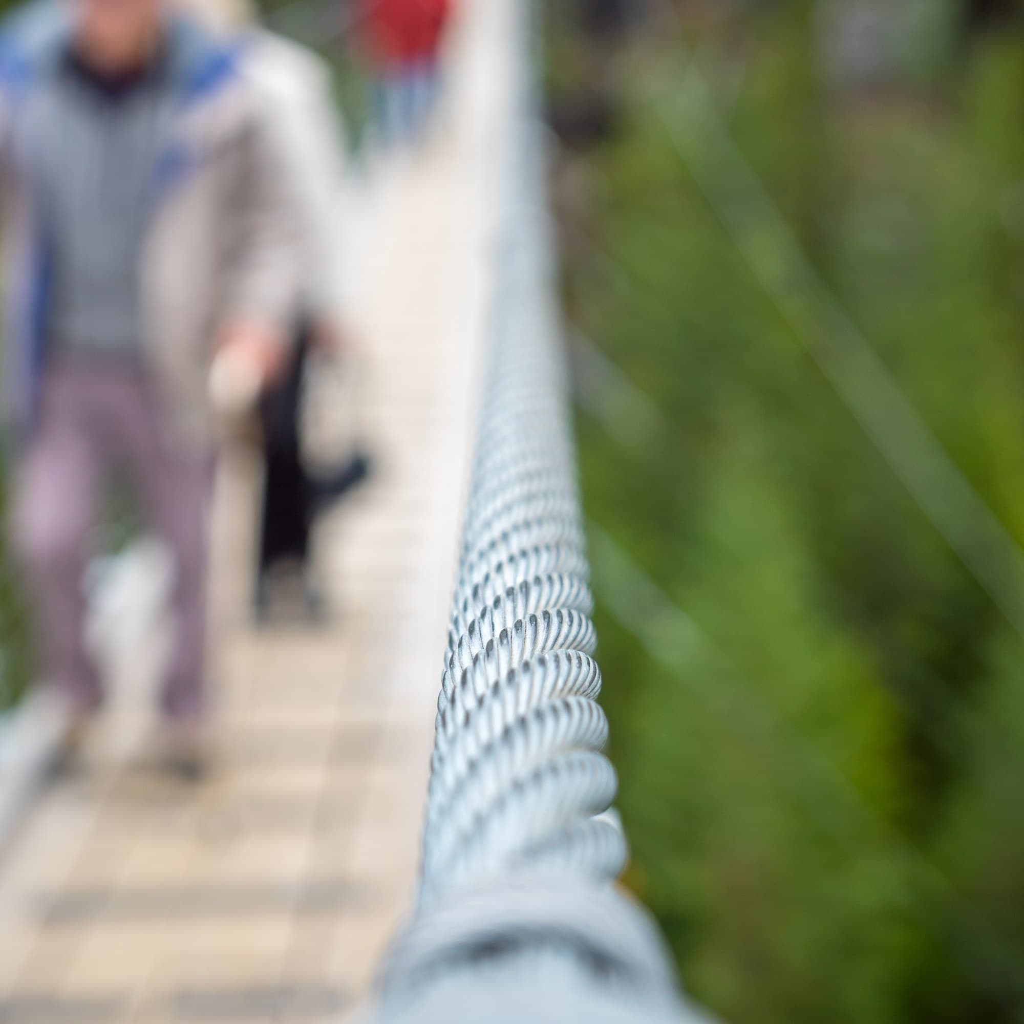 Vancouver photo DSC07702