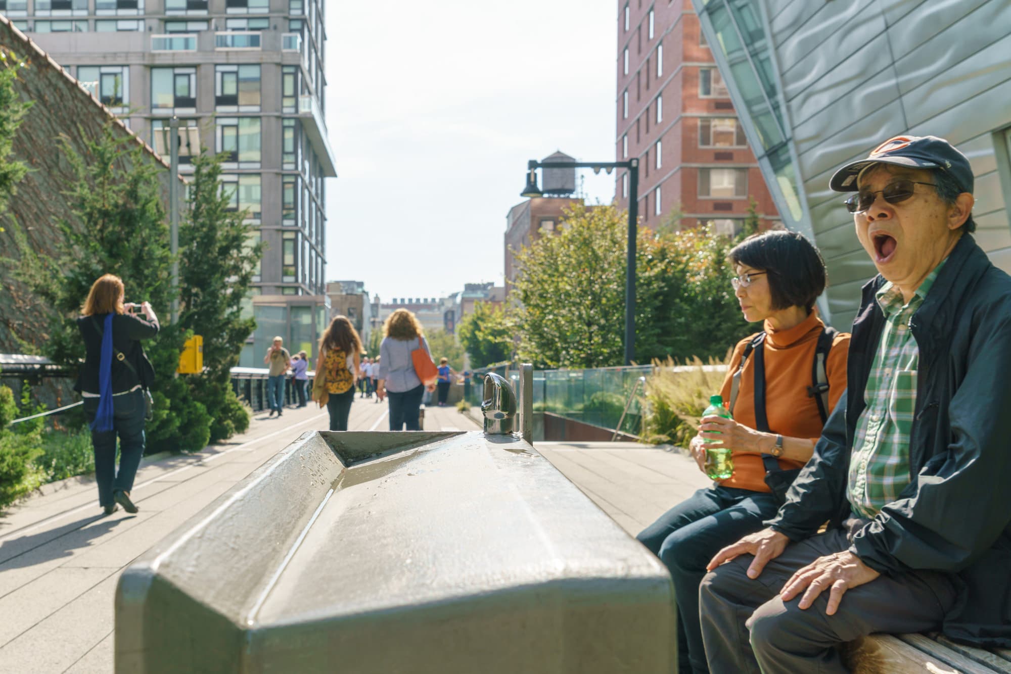 The High Line photo DSC04375