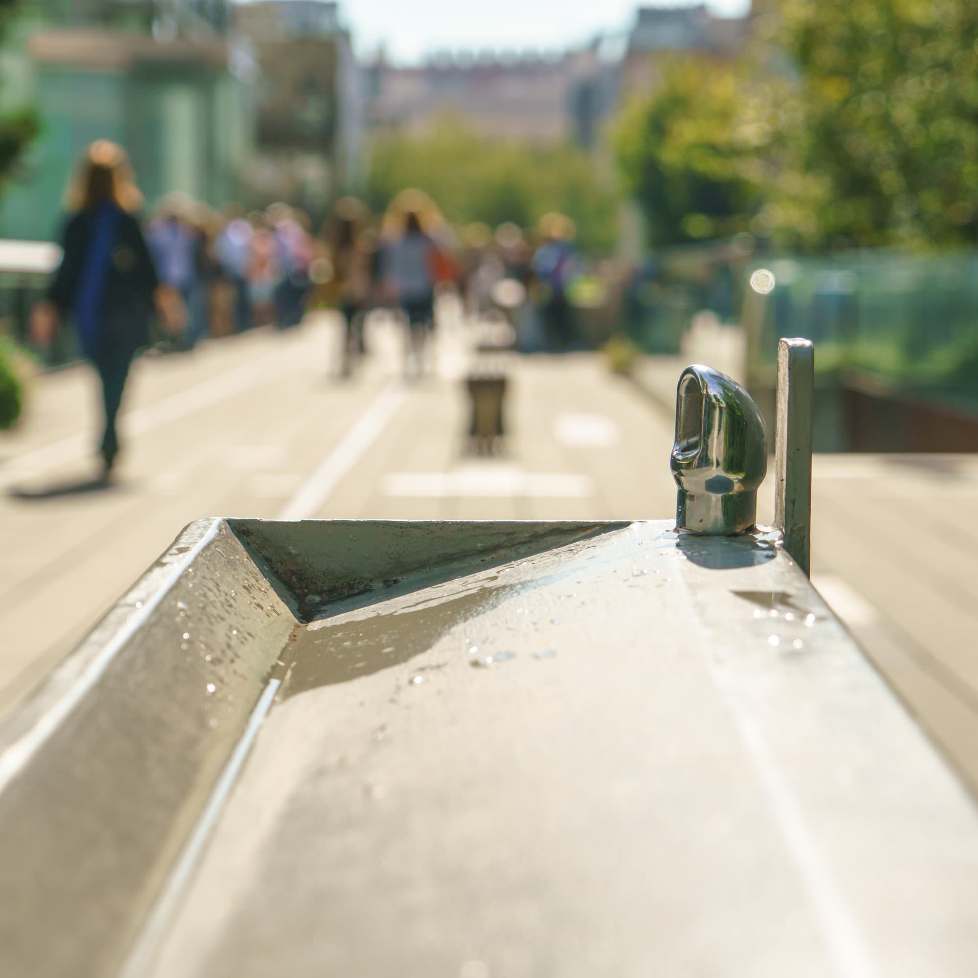 The High Line photo DSC04377