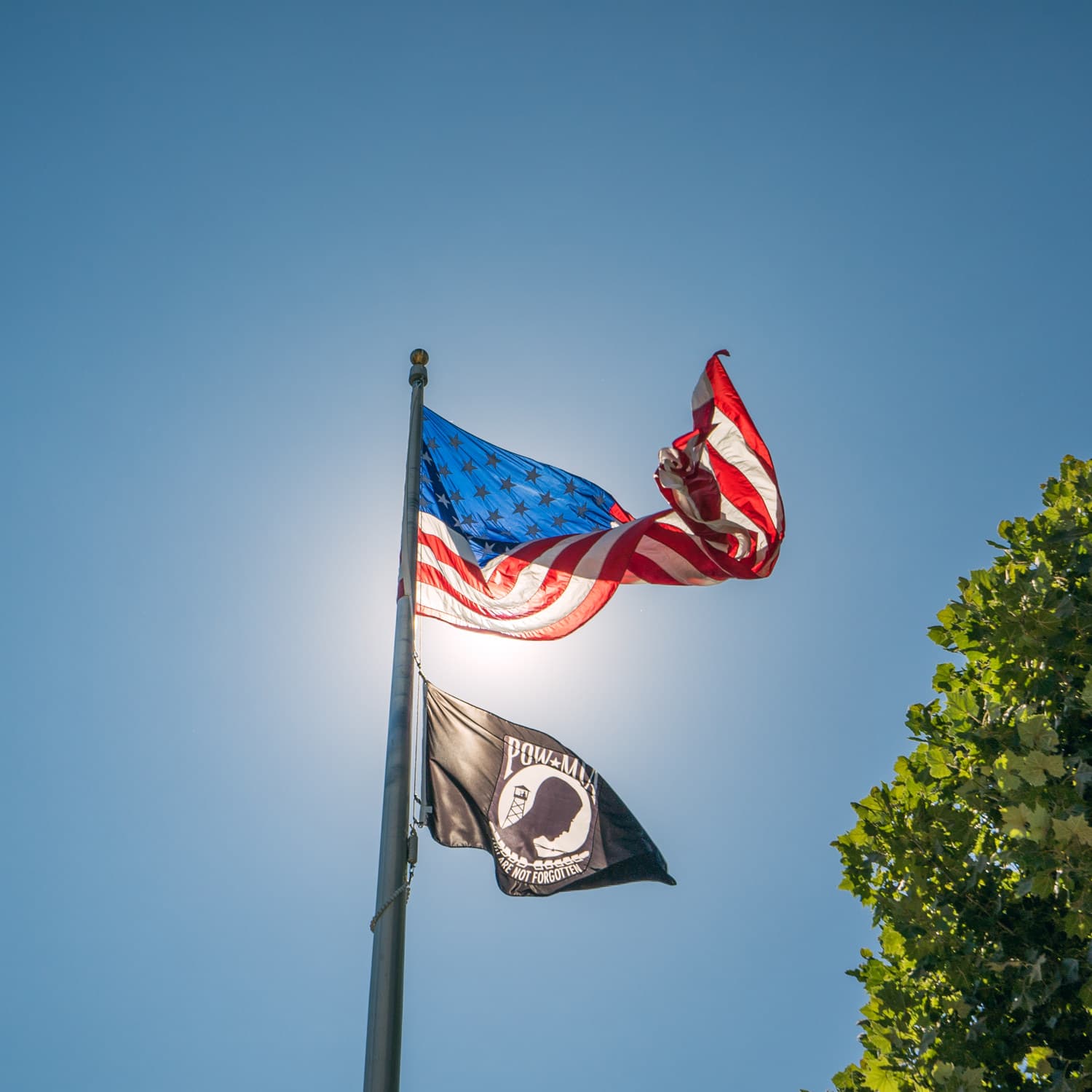 Napa Valley photo DSC02656