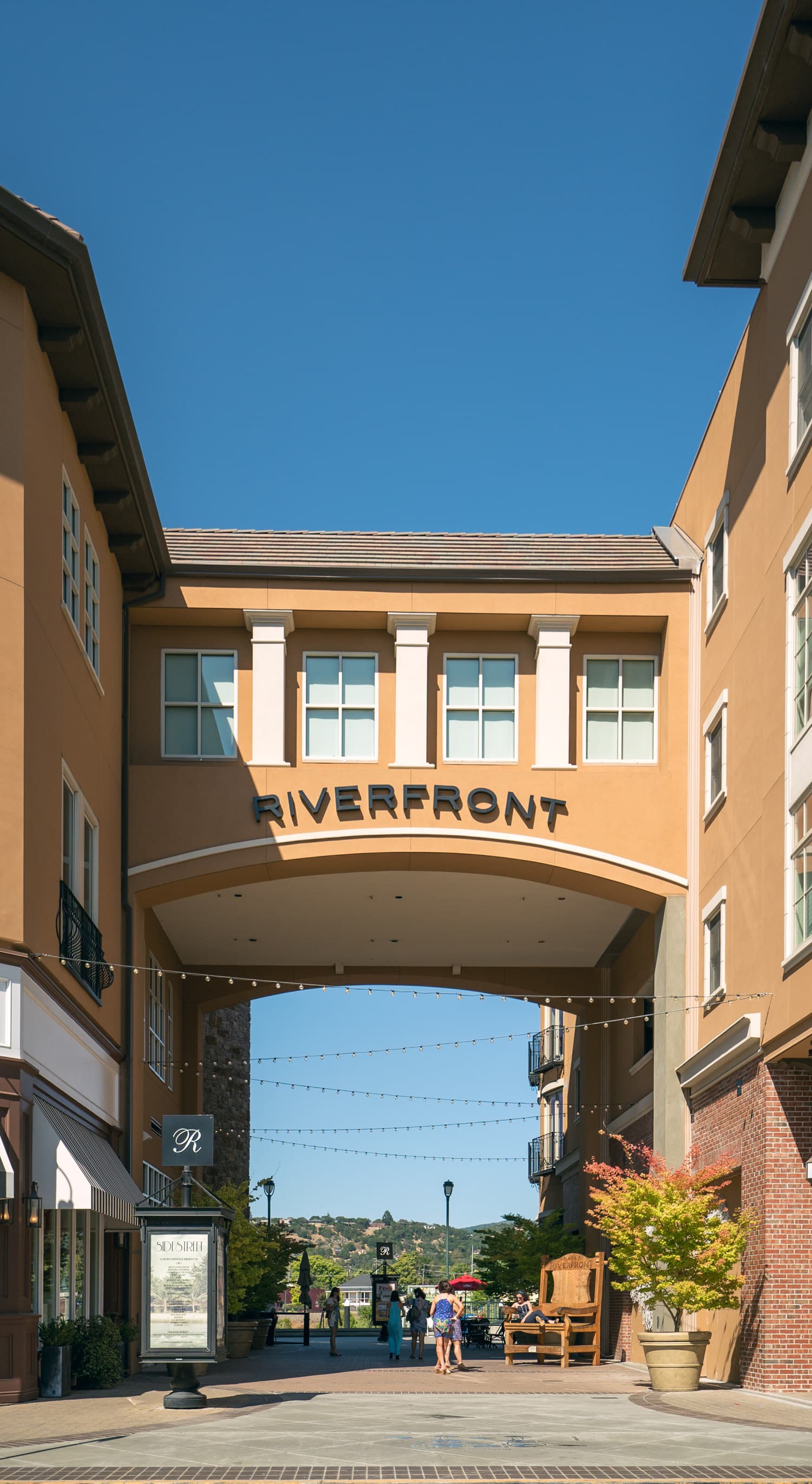 Napa Valley photo DSC02663