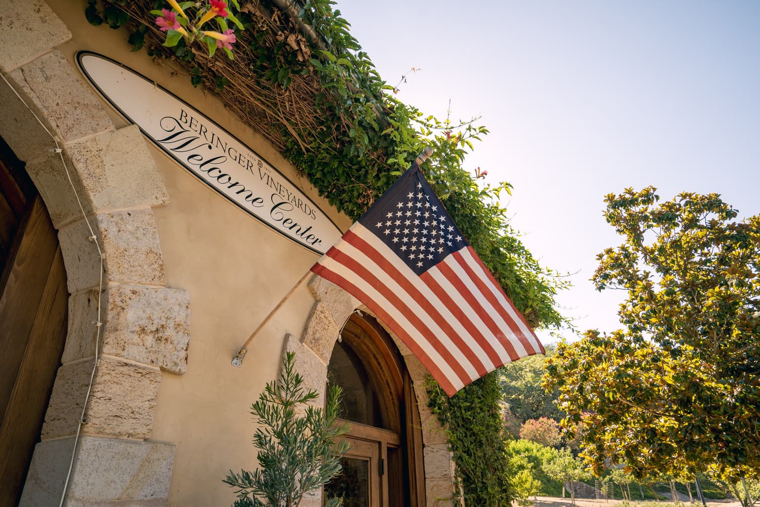 Napa Valley photo DSC02732