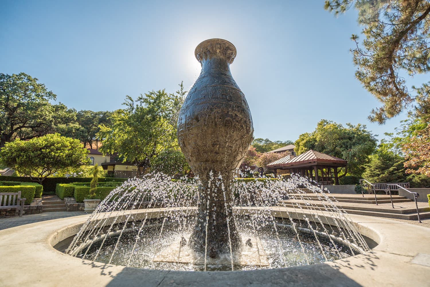 Napa Valley photo DSC02749