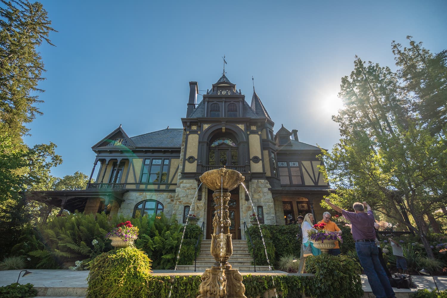 Napa Valley photo DSC02753