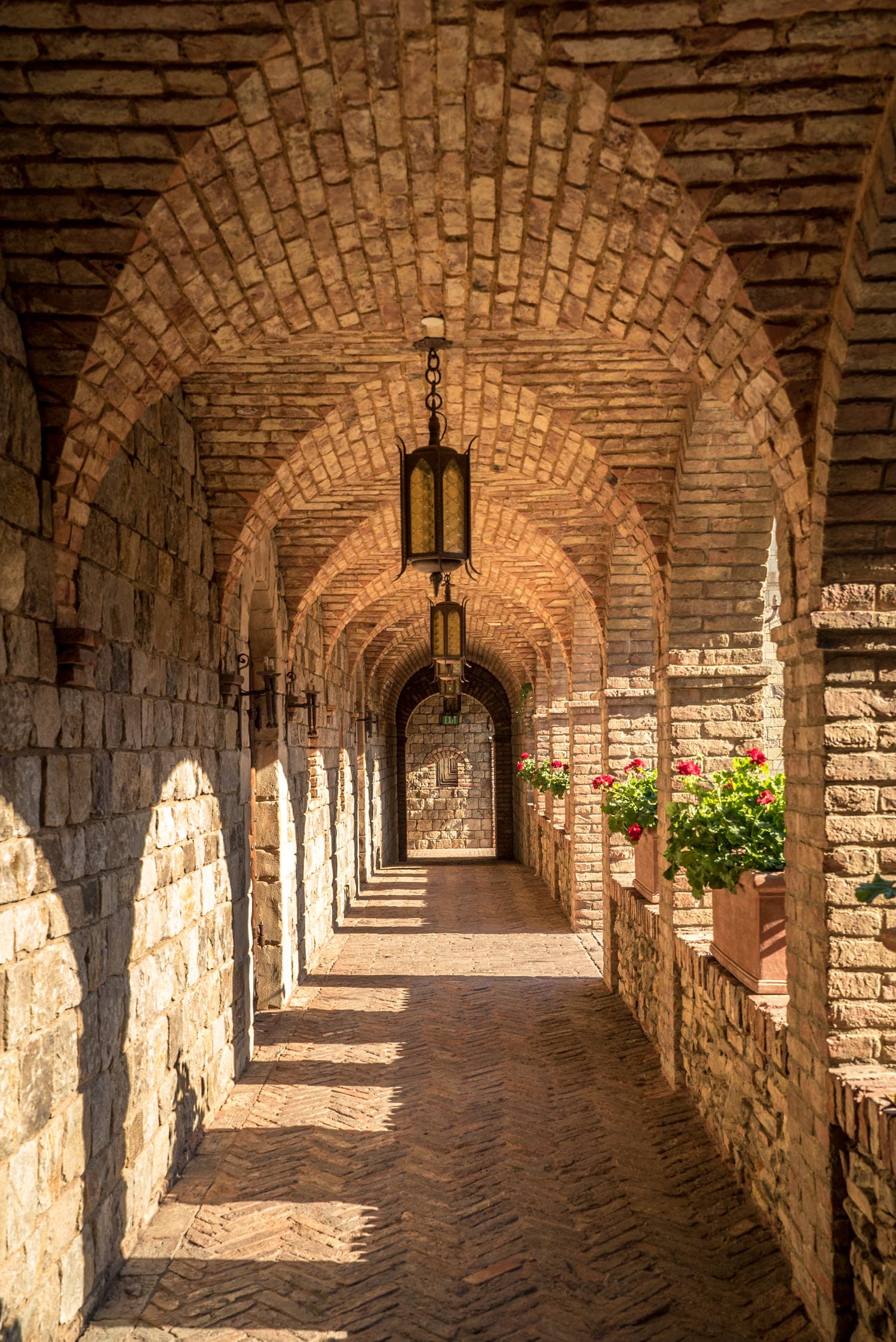 Napa Valley photo DSC02802