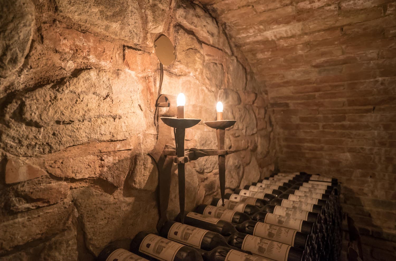 Napa Valley photo DSC02815