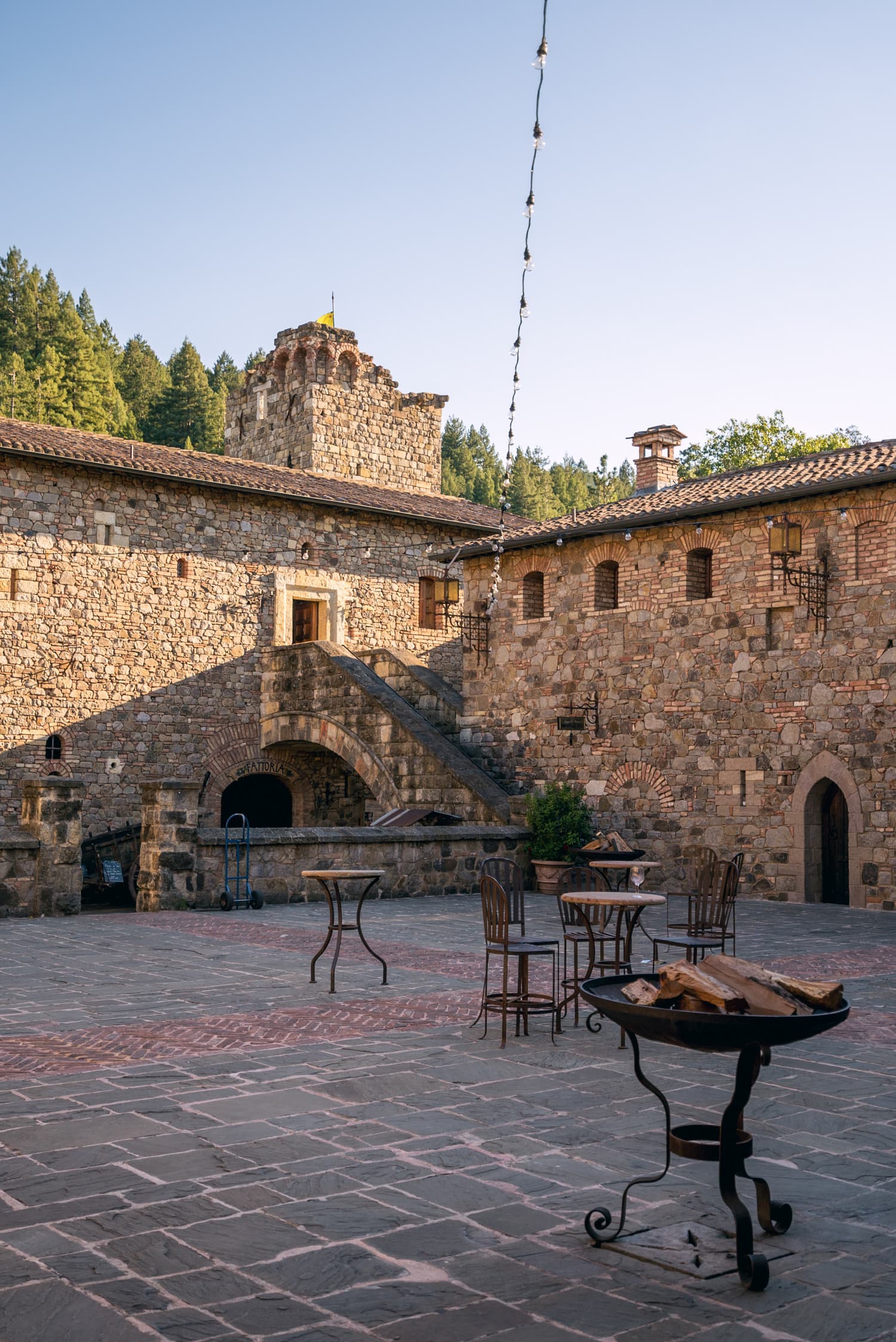 Napa Valley photo DSC02831