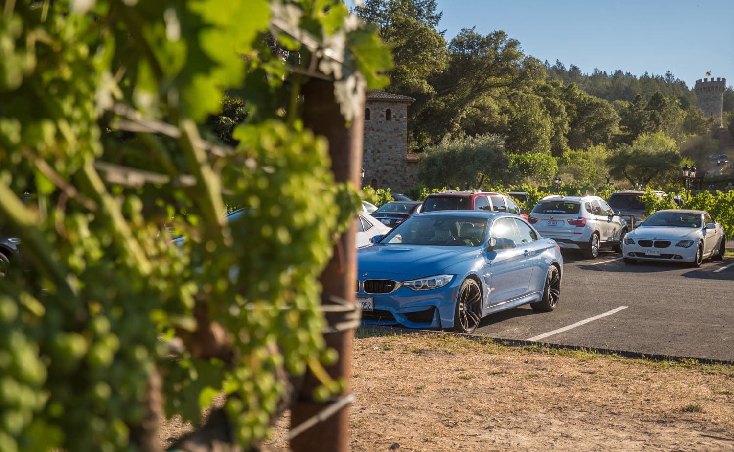 Napa Valley photo DSC02866