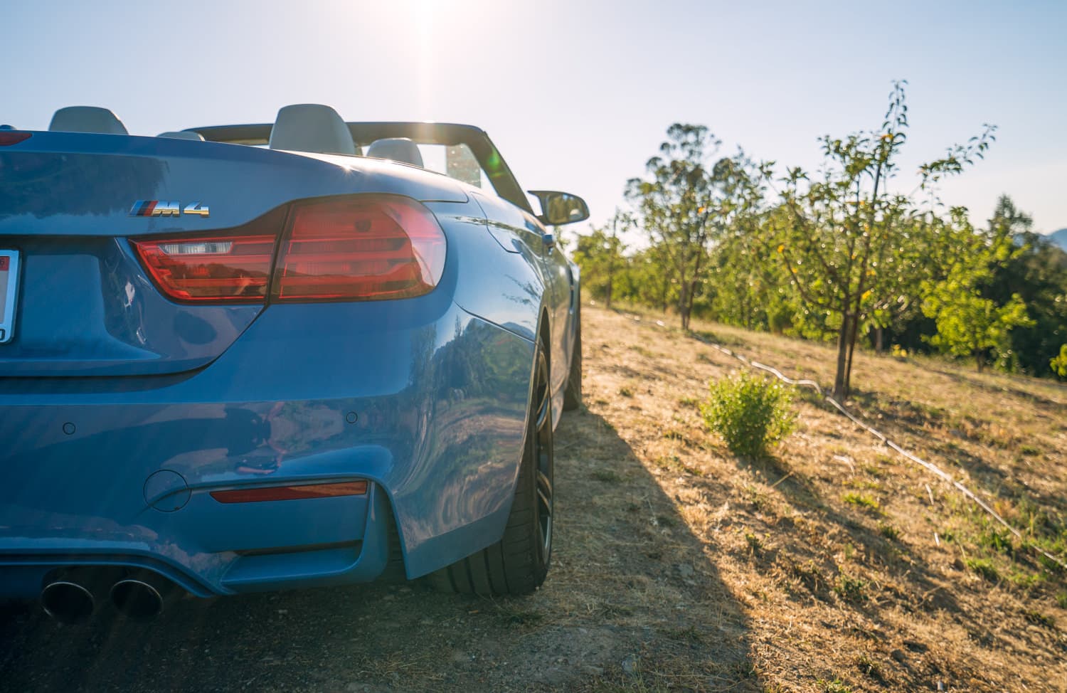 Napa Valley photo DSC02880