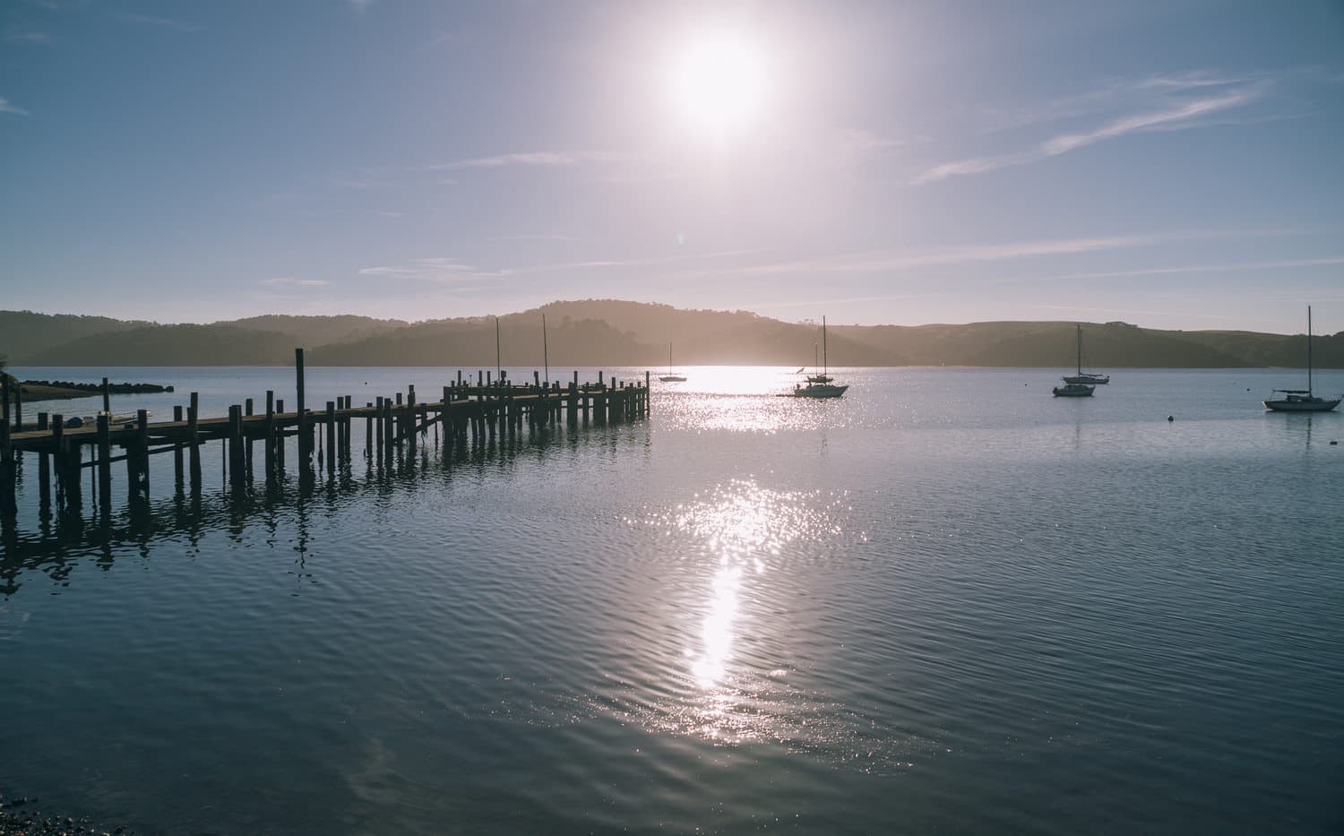Point Reyes photo DSC09184