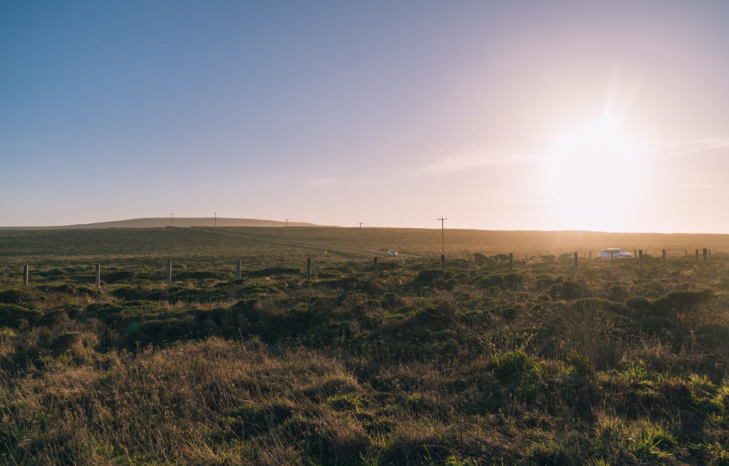 Point Reyes photo DSC09222