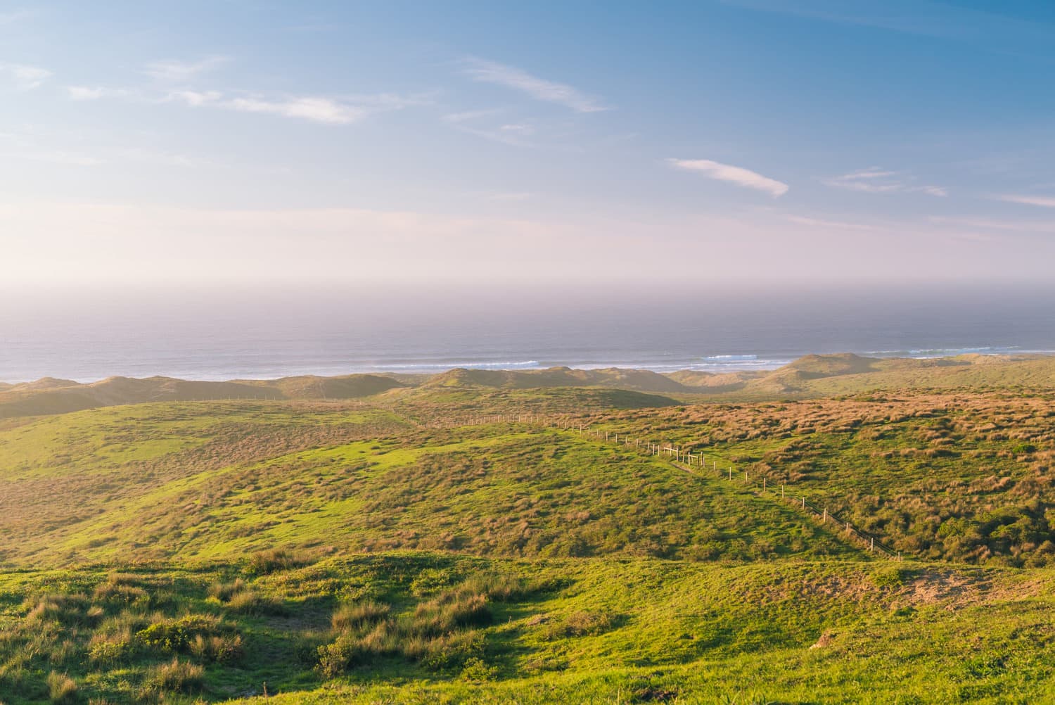 Point Reyes photo DSC09246