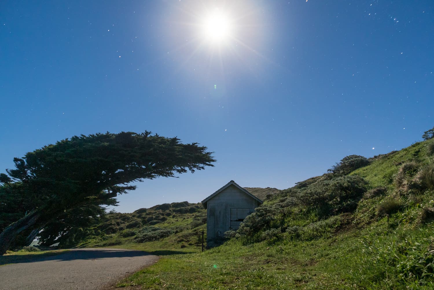 Point Reyes photo DSC09365