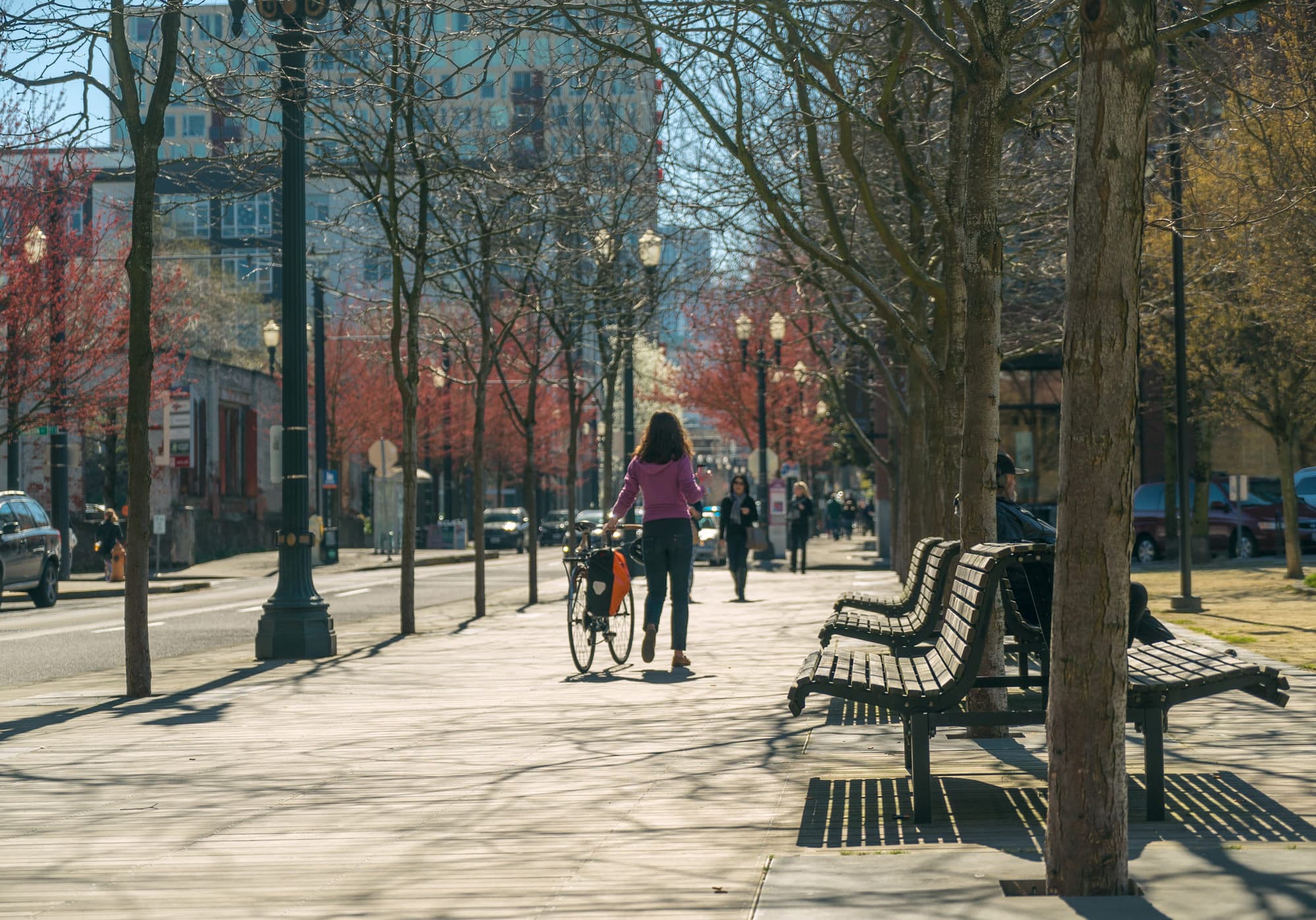 Portland photo DSC00439