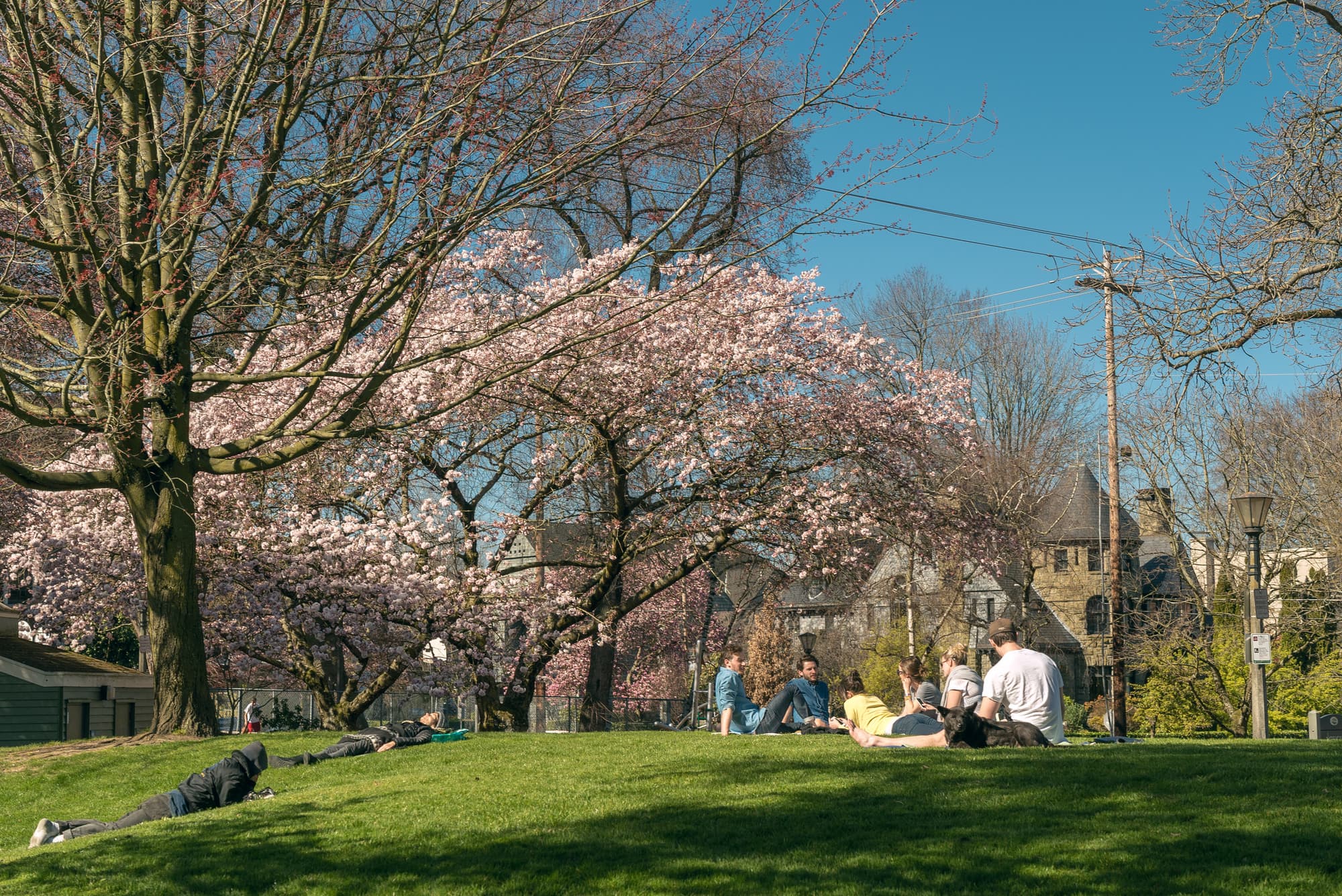 Portland photo DSC00473