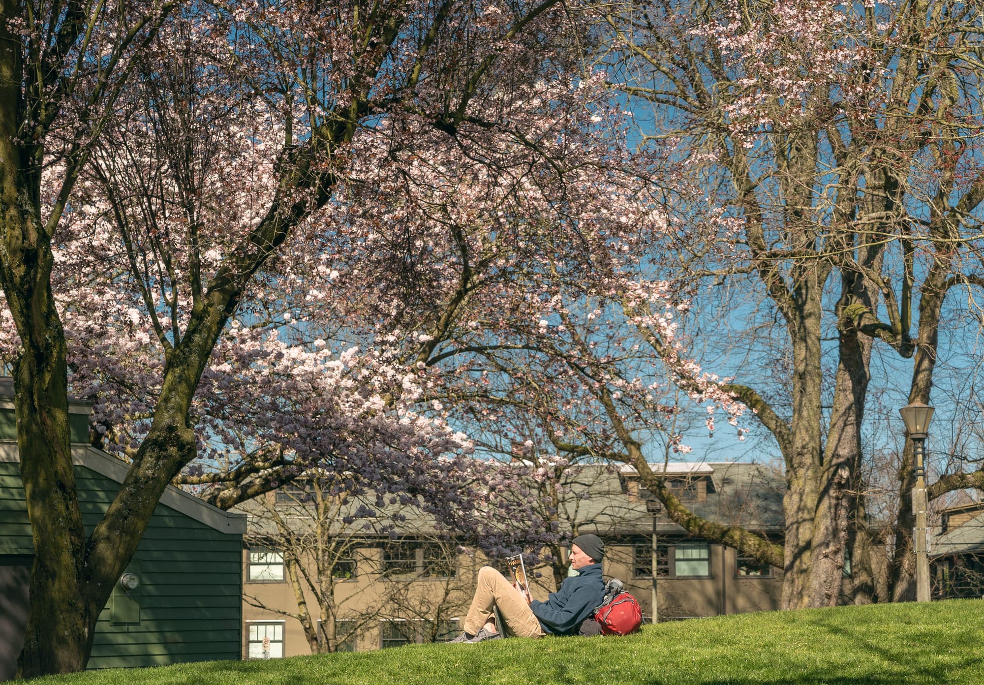 Portland photo DSC00476