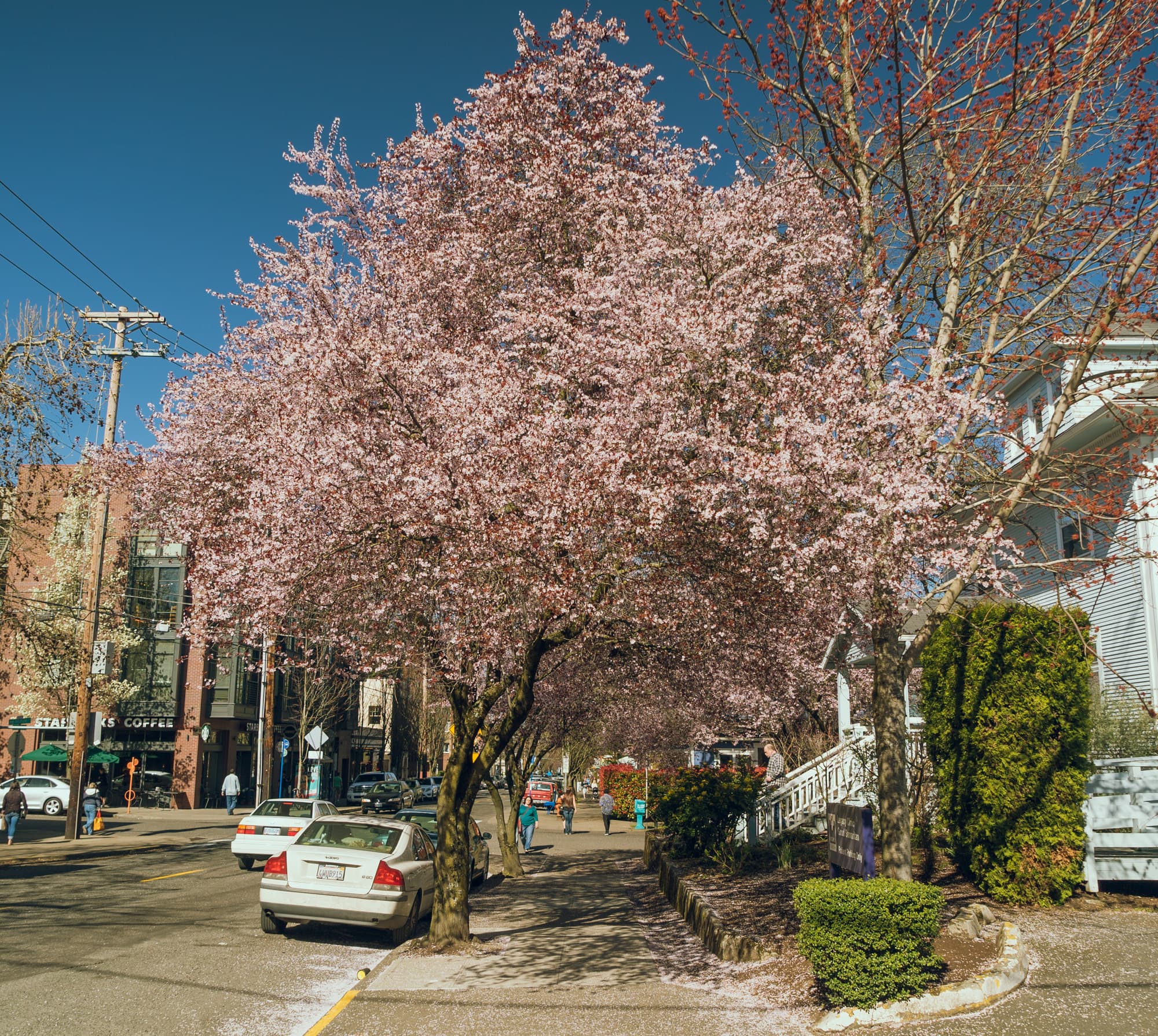 Portland photo DSC00531