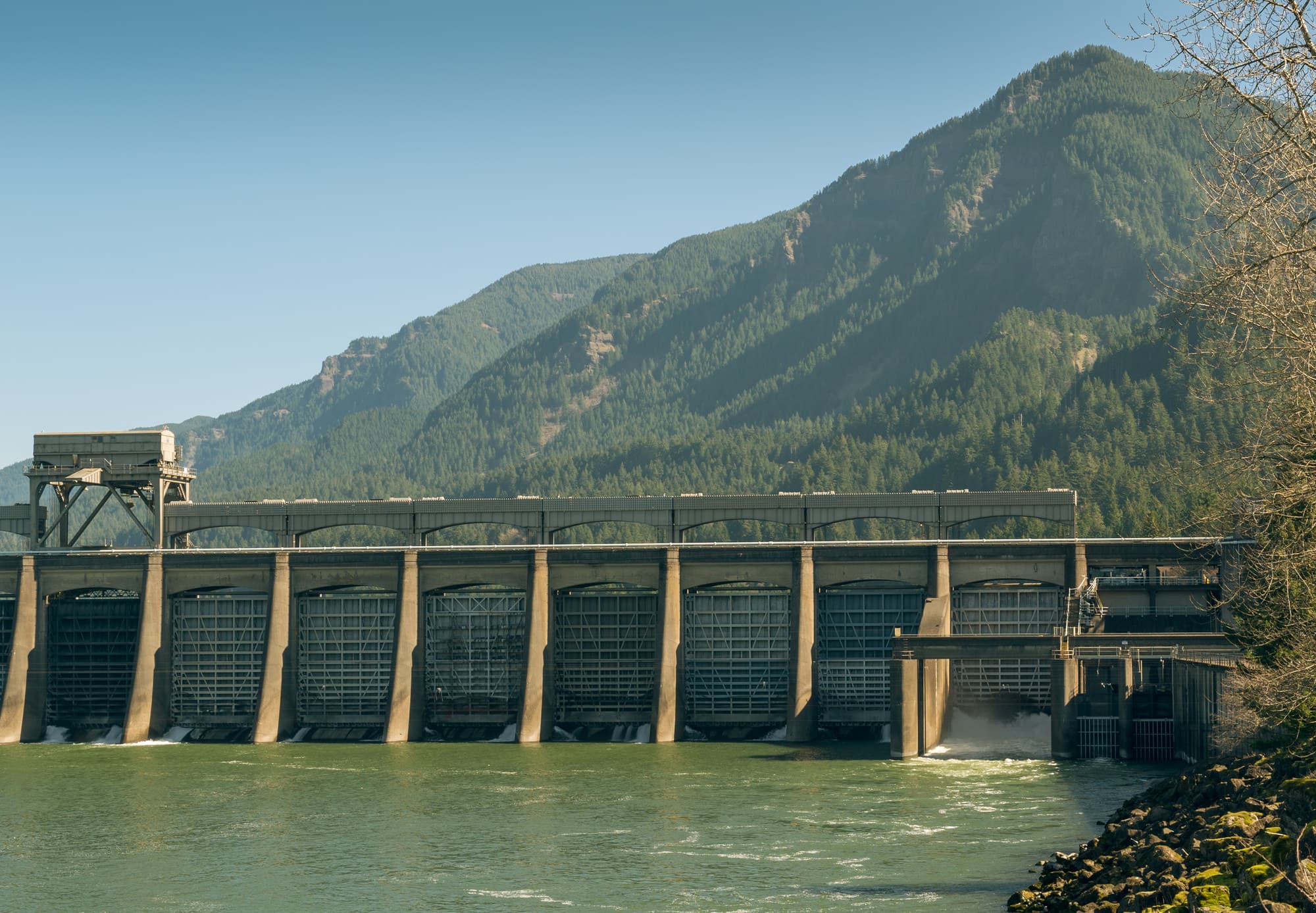 Portland photo DSC00803