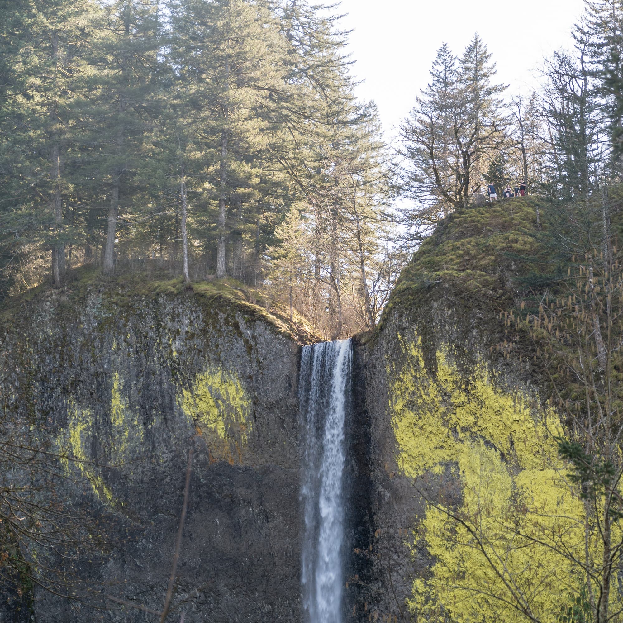 Portland photo DSC00864