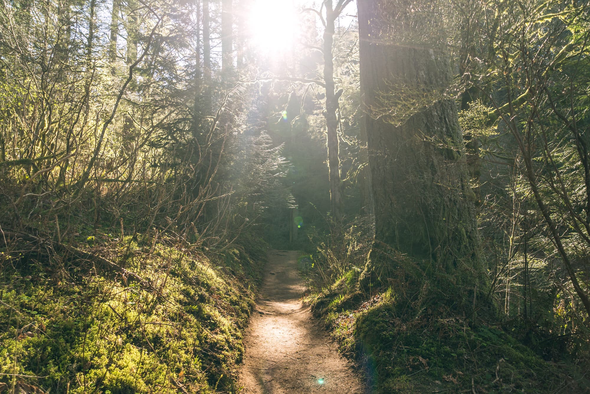 Portland photo DSC00888