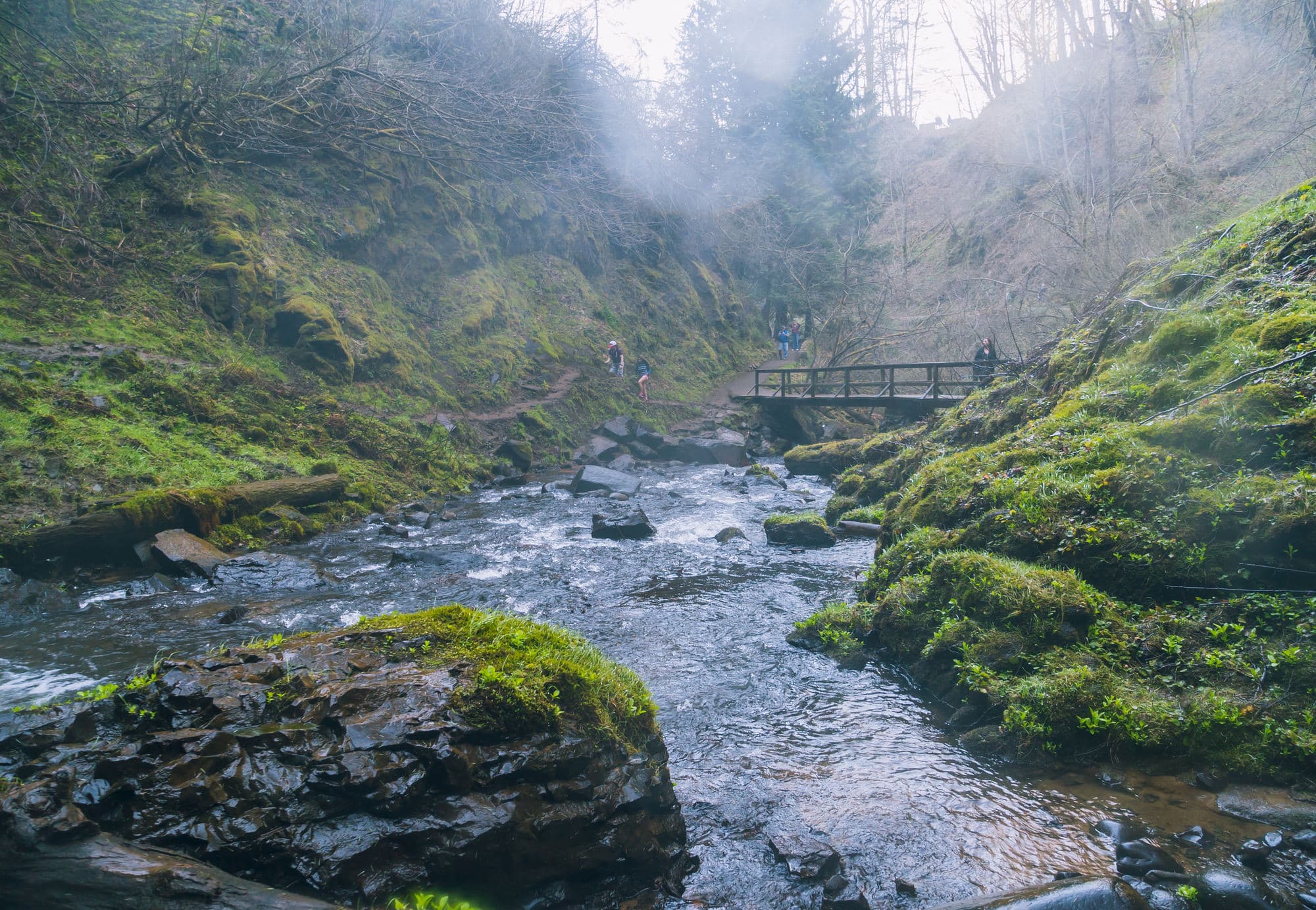 Portland photo DSC00924