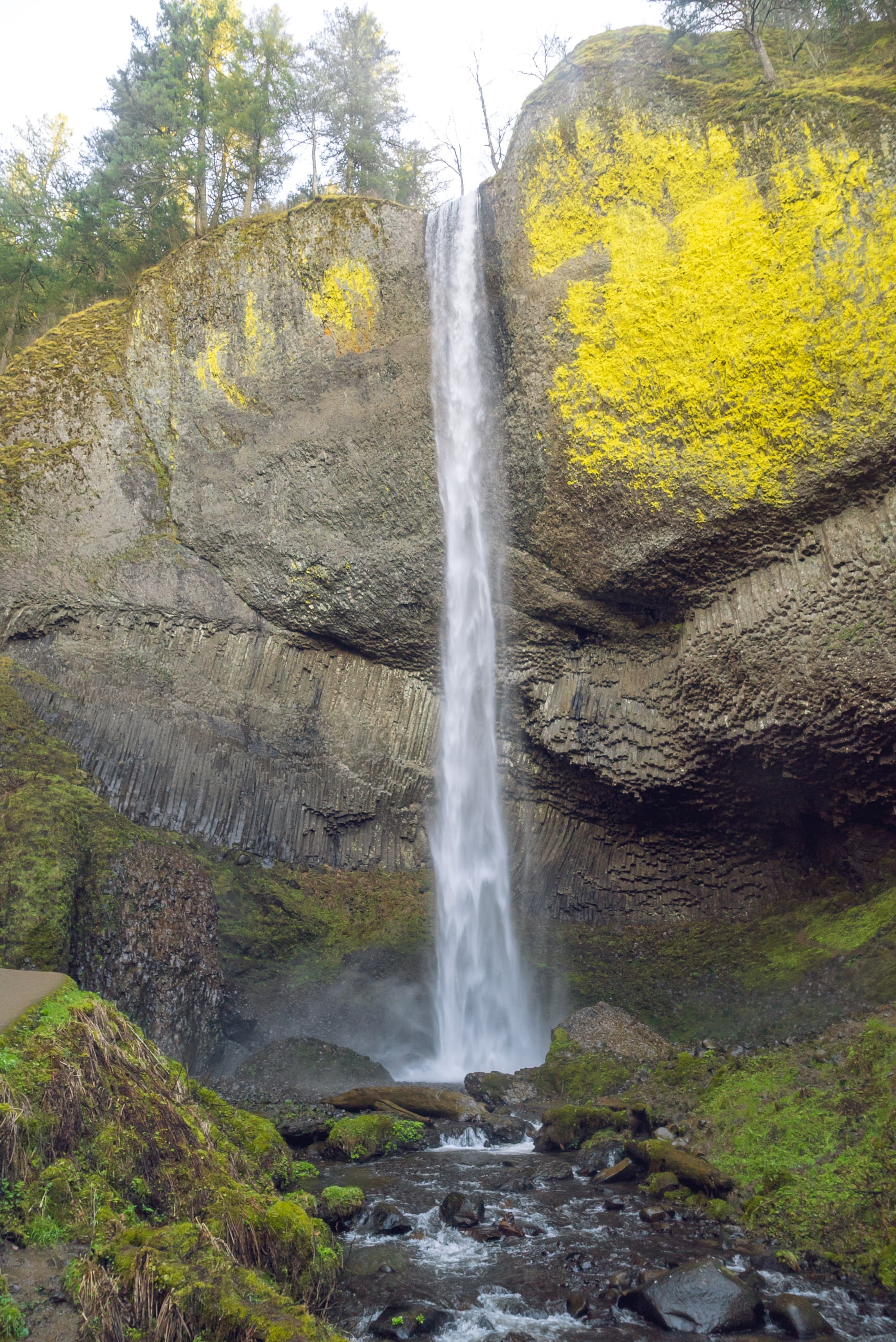 Portland photo DSC00936