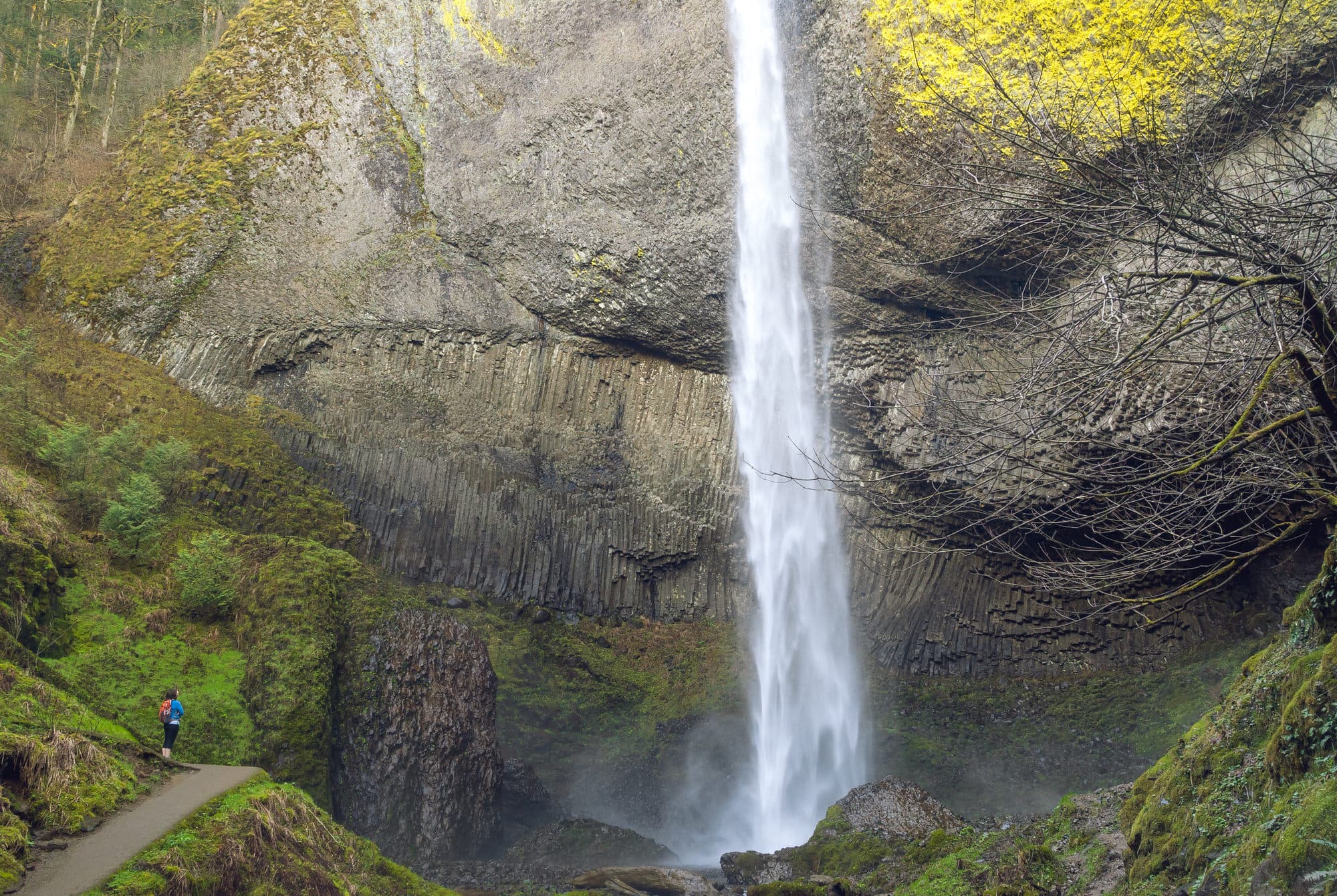 Portland photo DSC00942