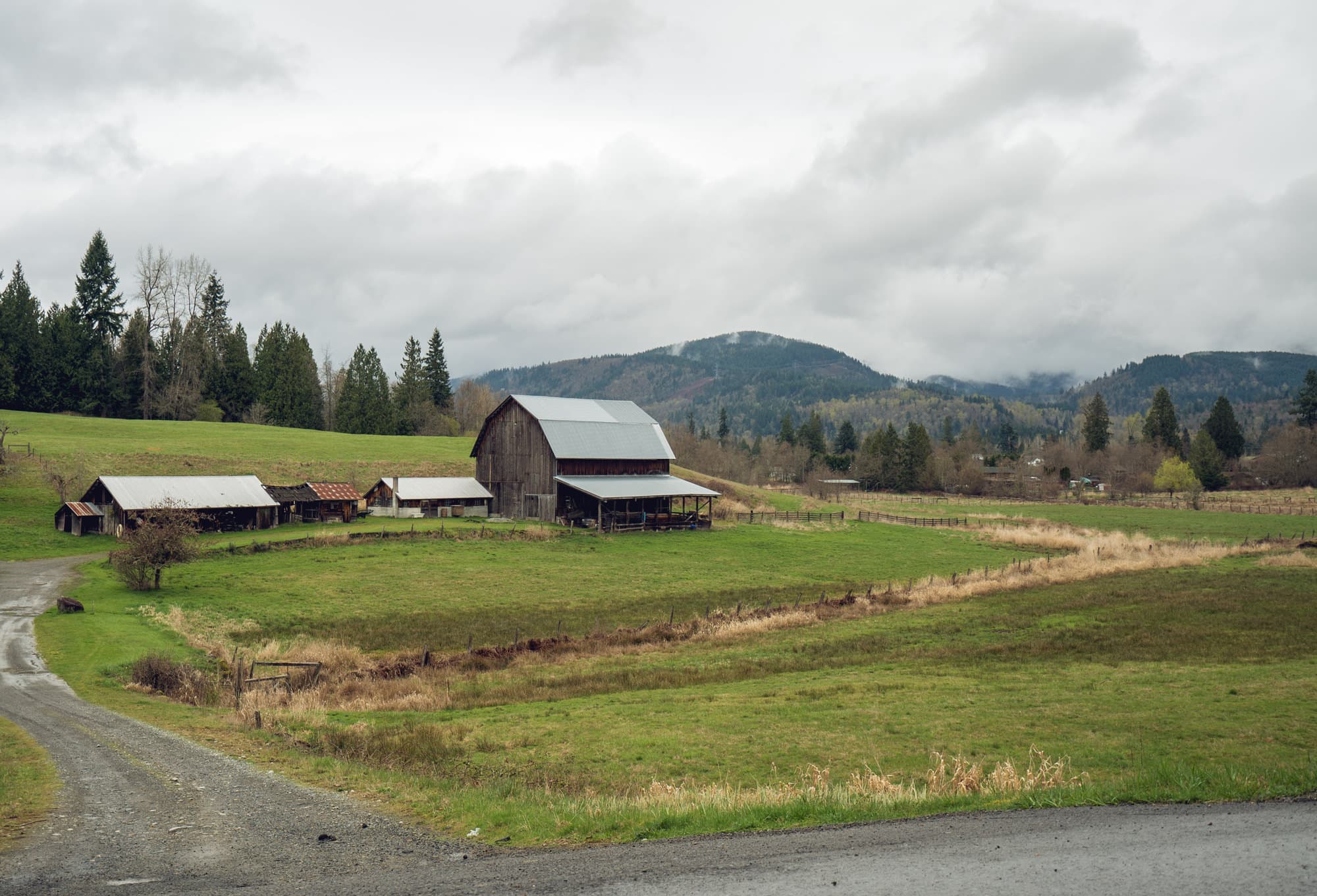 Saturday in Seattle photo DSC01285