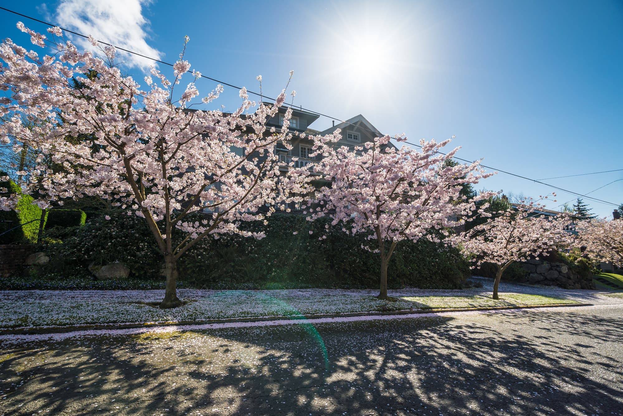 Saturday in Seattle photo DSC01362