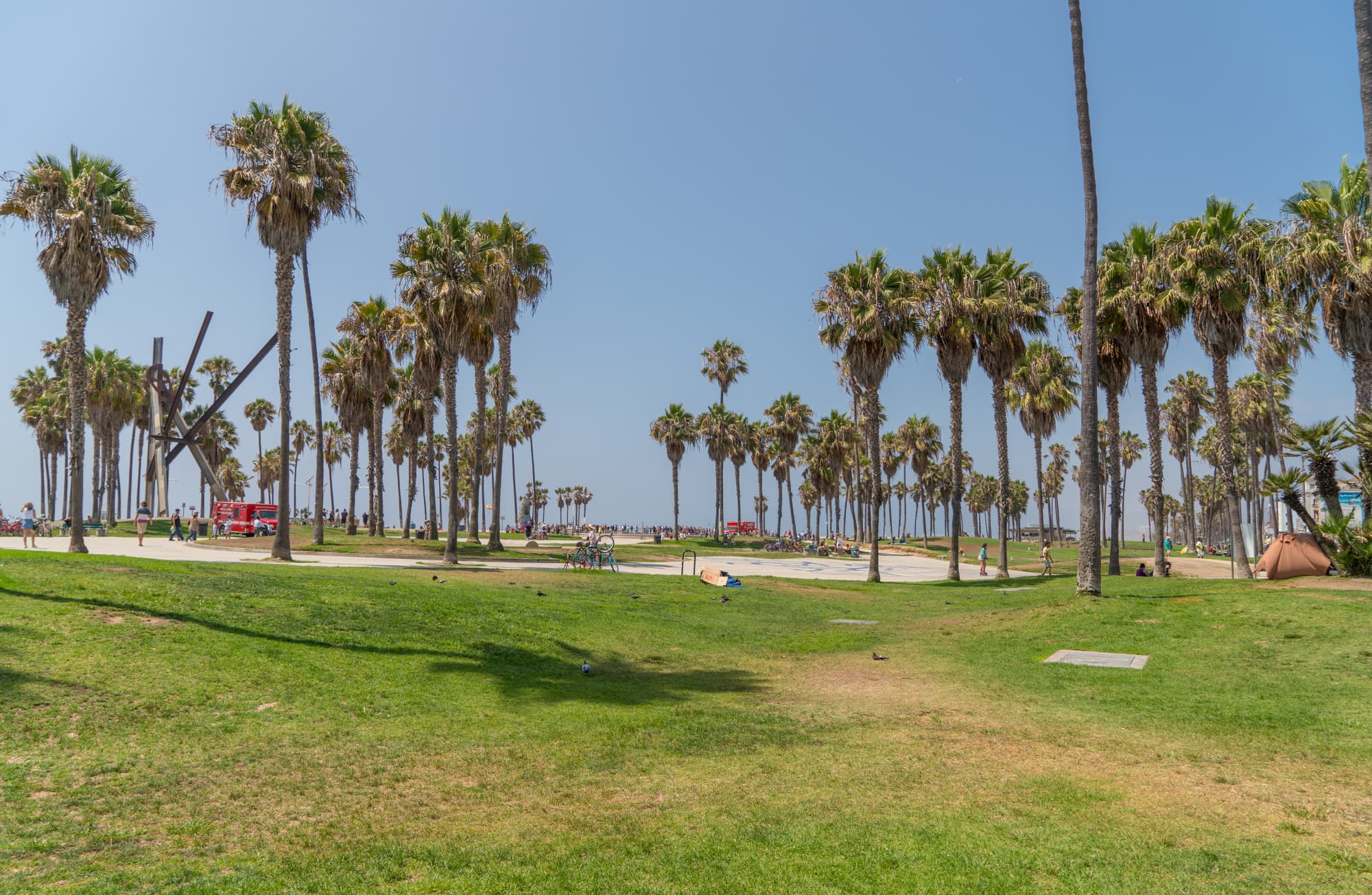 Venice Beach photo DSC03703