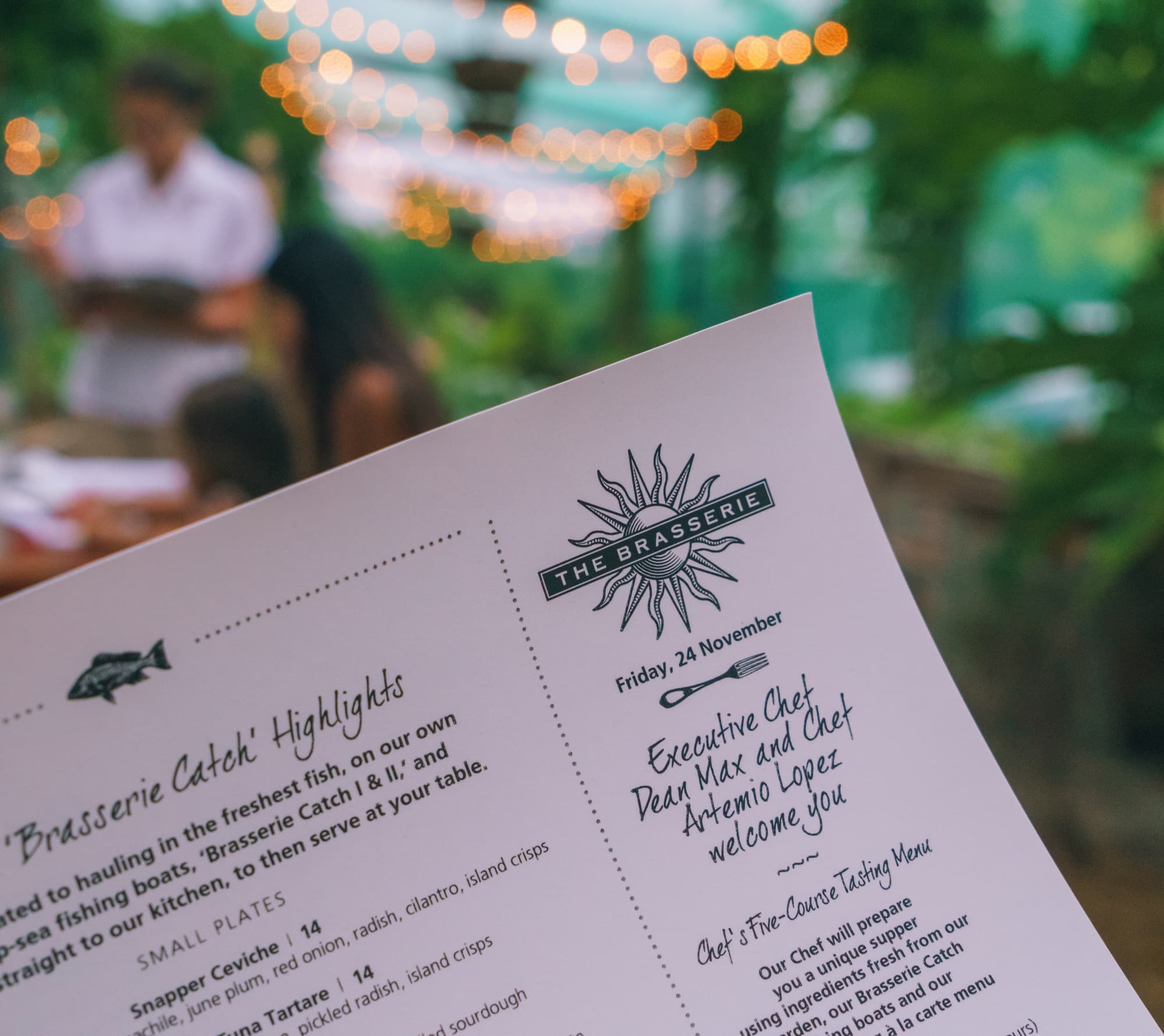 Grand Cayman photo DSC05600