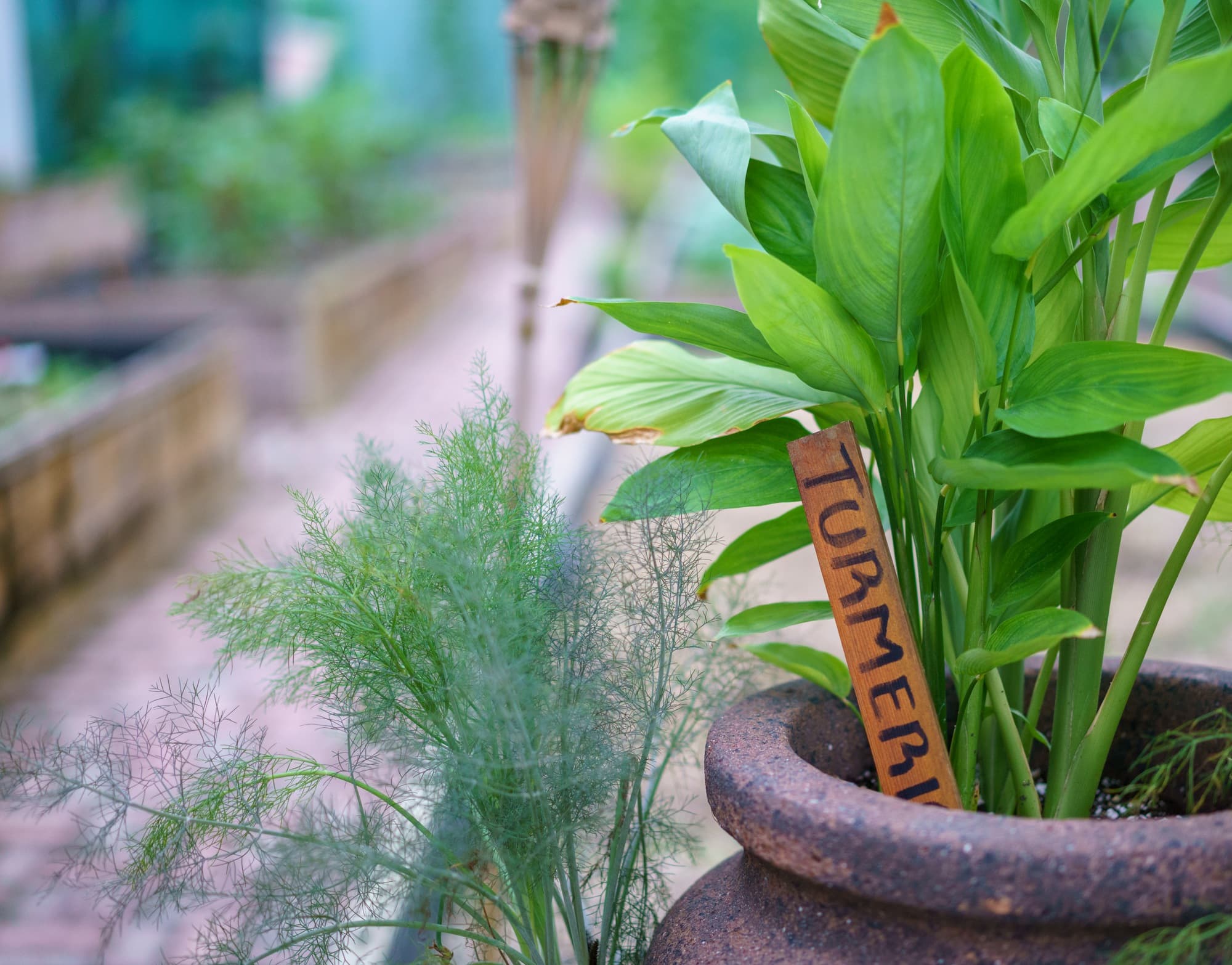 Grand Cayman photo DSC05608